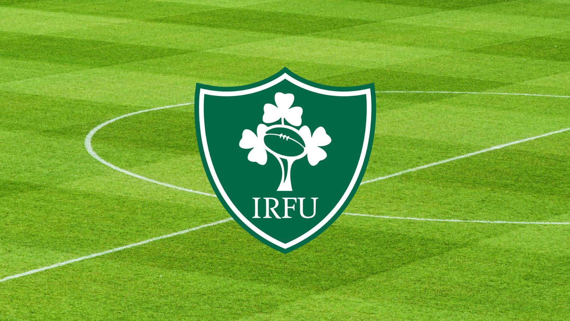 Ireland Rugby, green shield logo, shamrock, Full HD Desktop Wallpaper