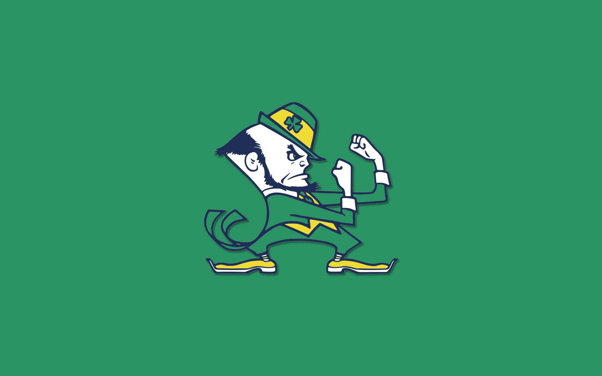 cartoon leprechaun, green suit, green hat, Full HD Desktop Wallpaper
