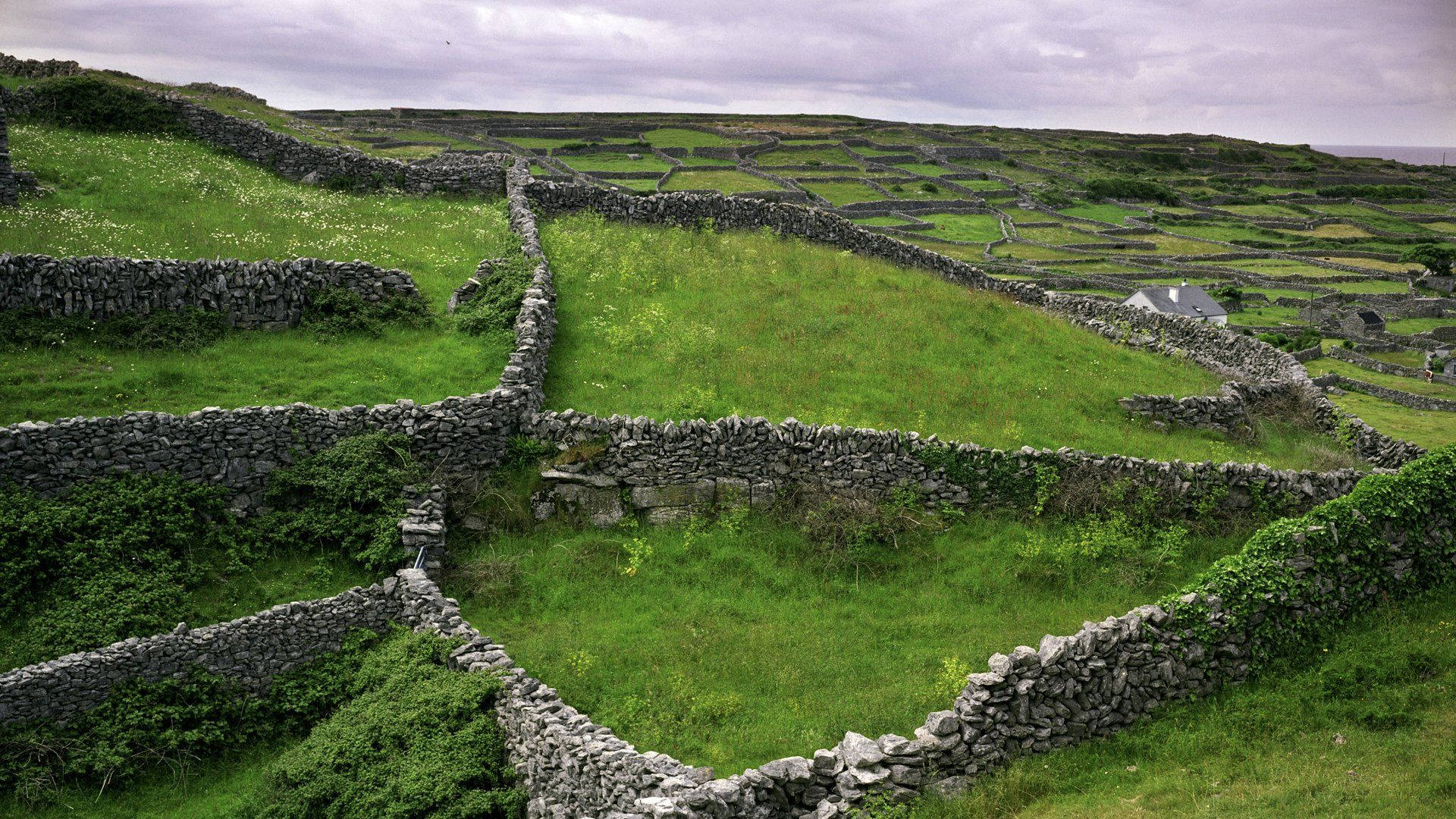 Irish, stone walls, rolling green hills, Full HD Desktop Wallpaper