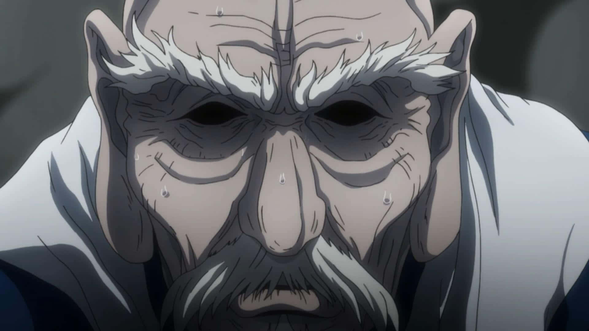 Isaac Netero, anime portrait, elderly man, Full HD Desktop Wallpaper