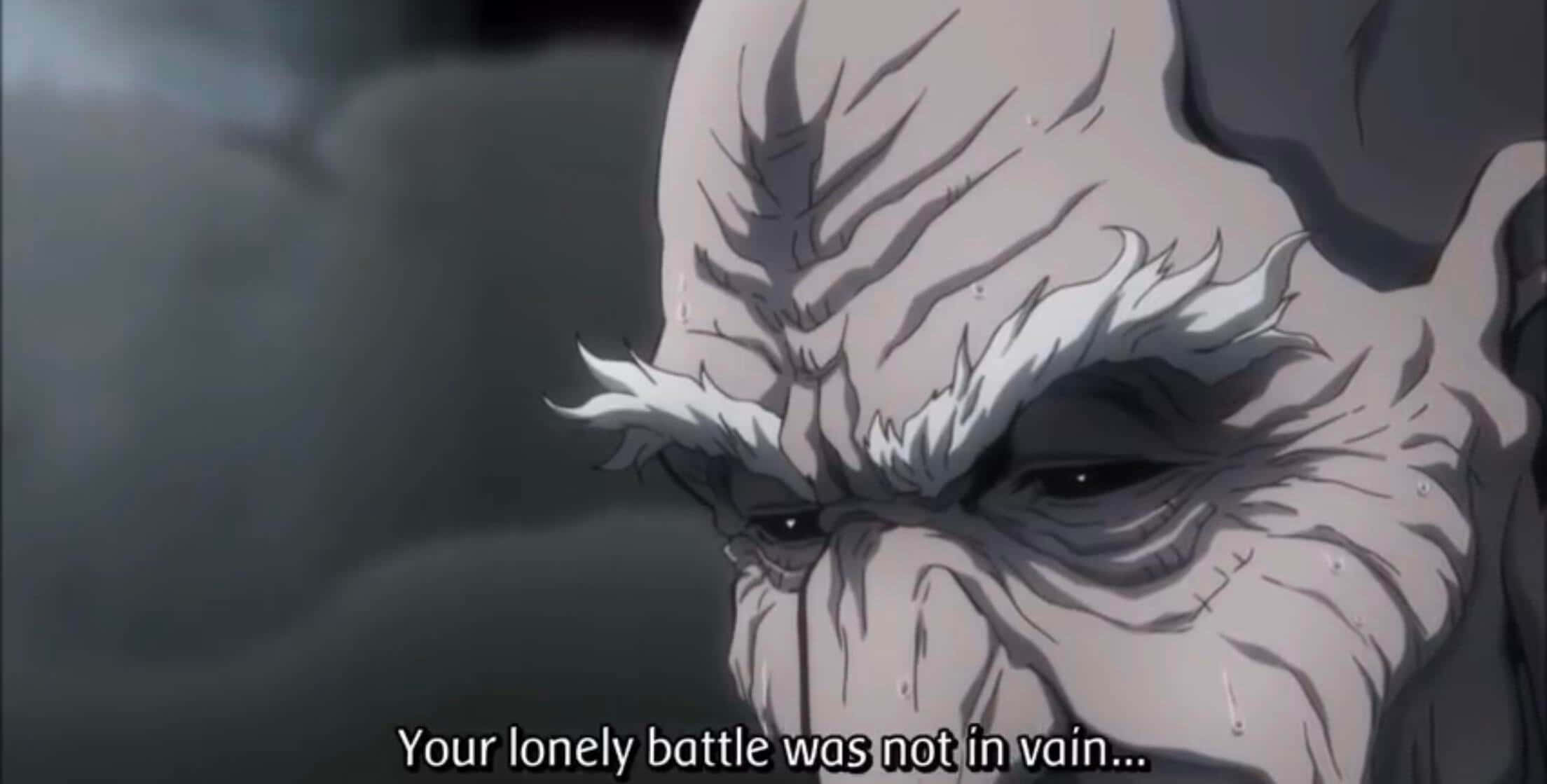Isaac Netero, elderly anime character, deep wrinkles, Full HD Desktop Wallpaper