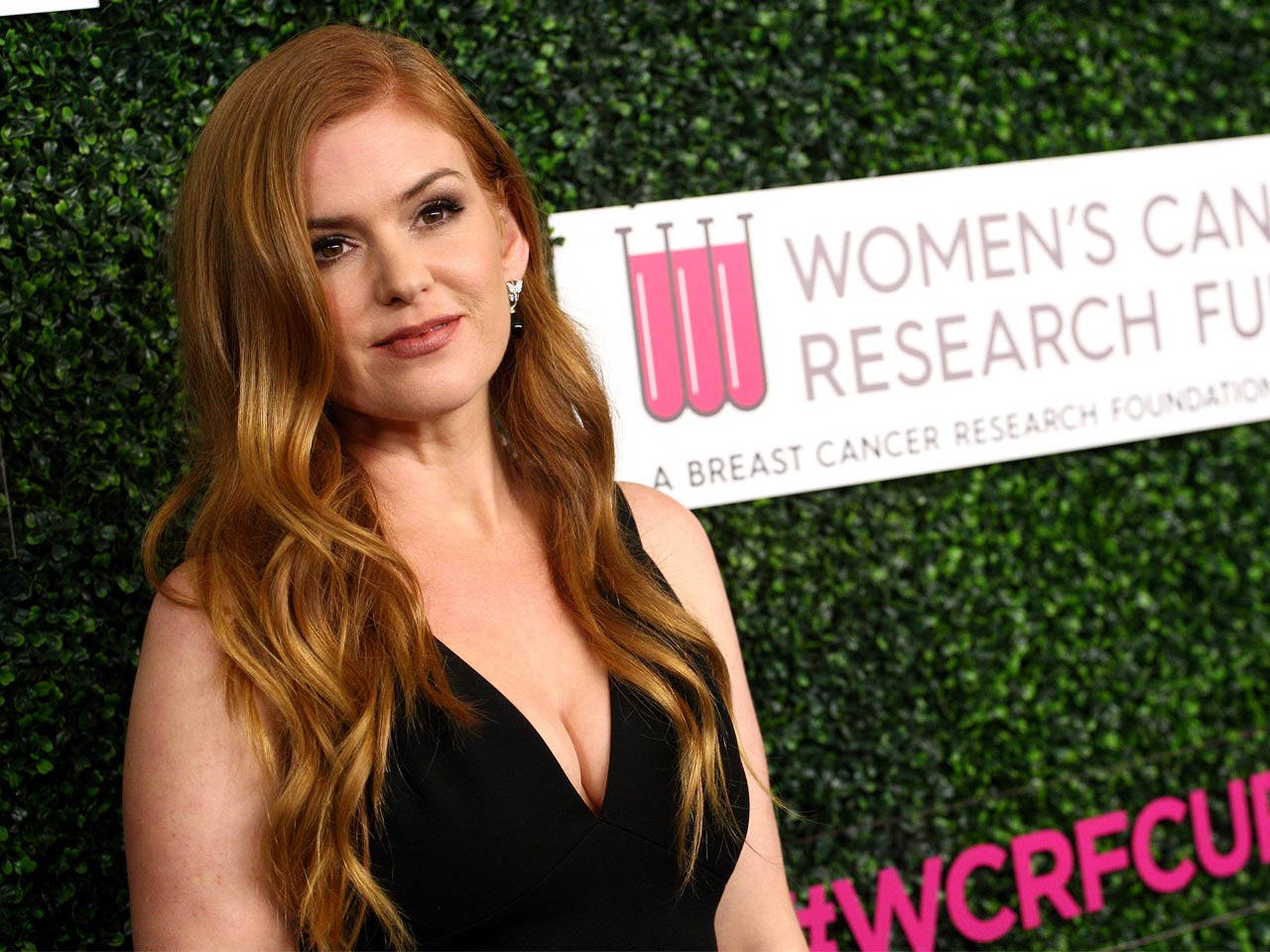 Isla Fisher, Women's Cancer Research Foundation, red hair, HD Desktop Wallpaper
