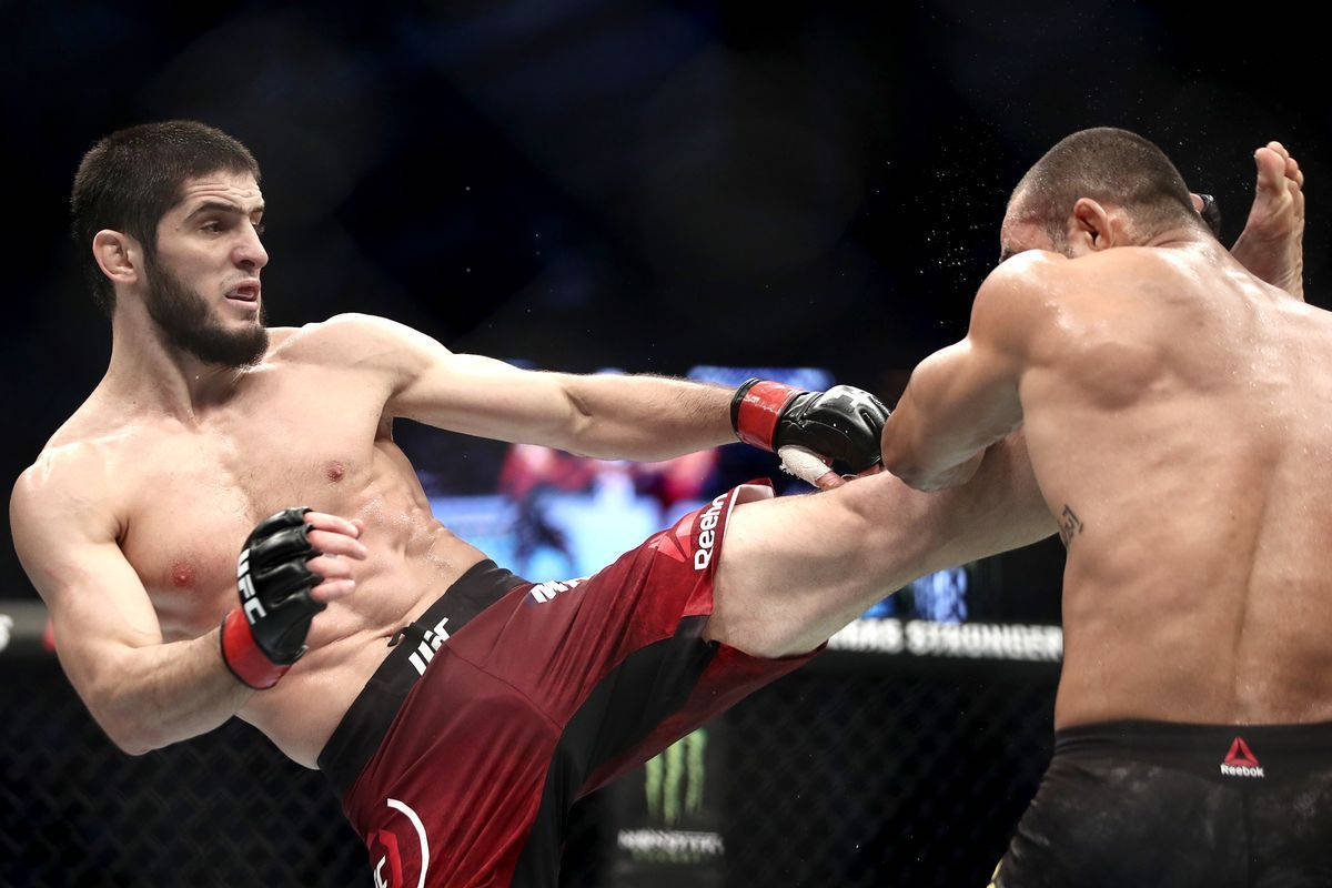 Islam Makhachev, high kick, MMA cage, SD Desktop Wallpaper