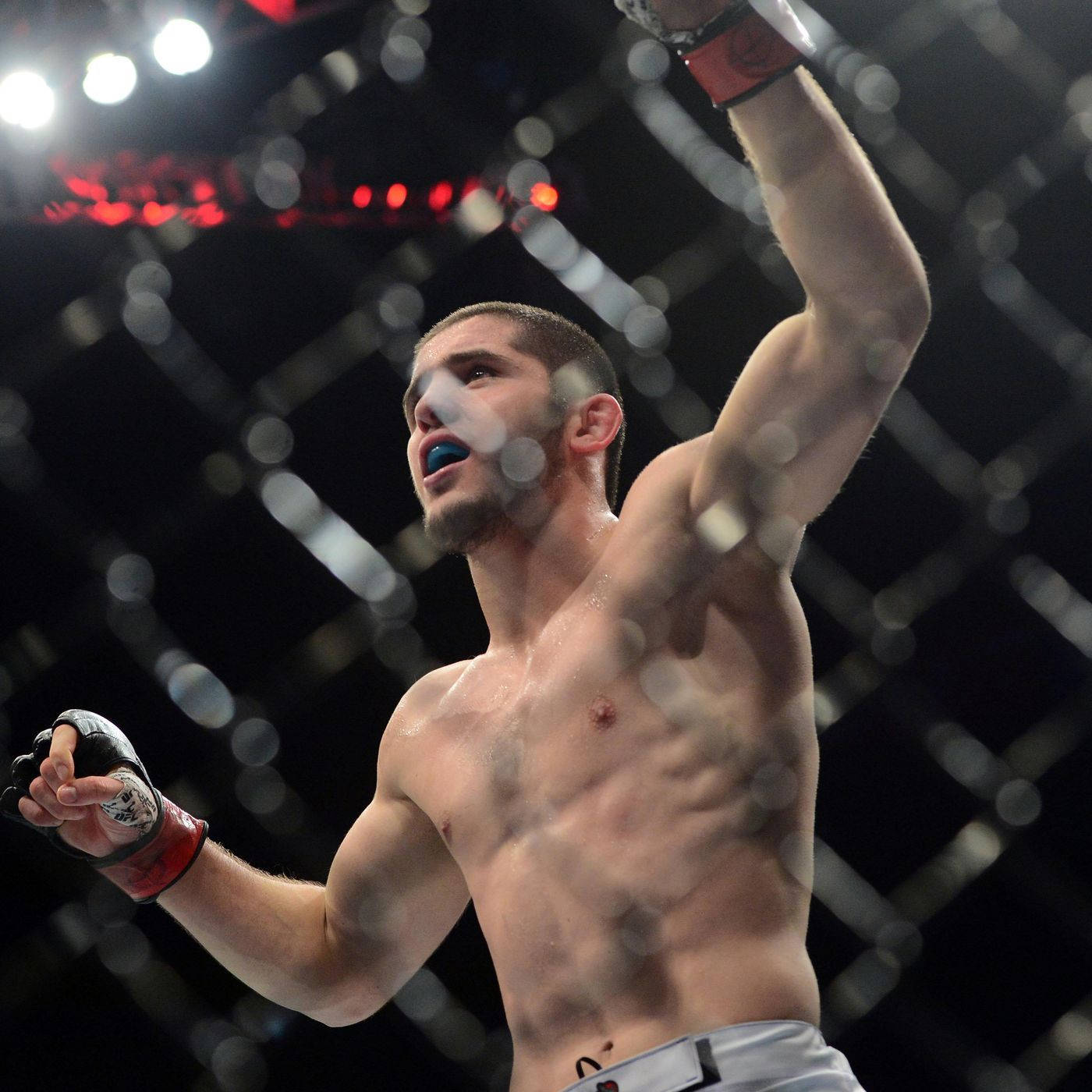 Islam Makhachev, octagon cage, brightly lit, HD Desktop Wallpaper