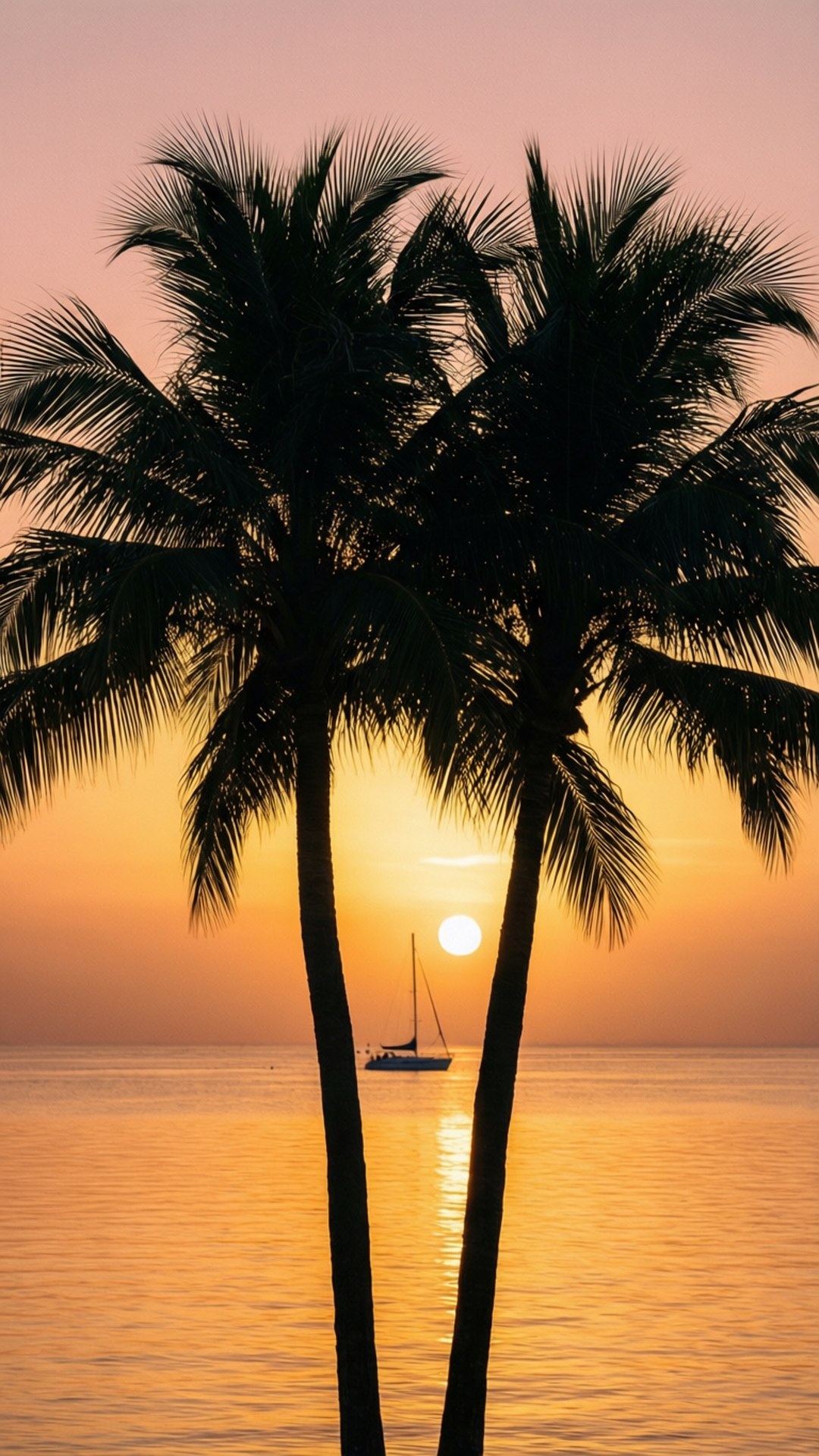 palm tree silhouette, sailboat, calm waters, Full HD Phone Wallpaper