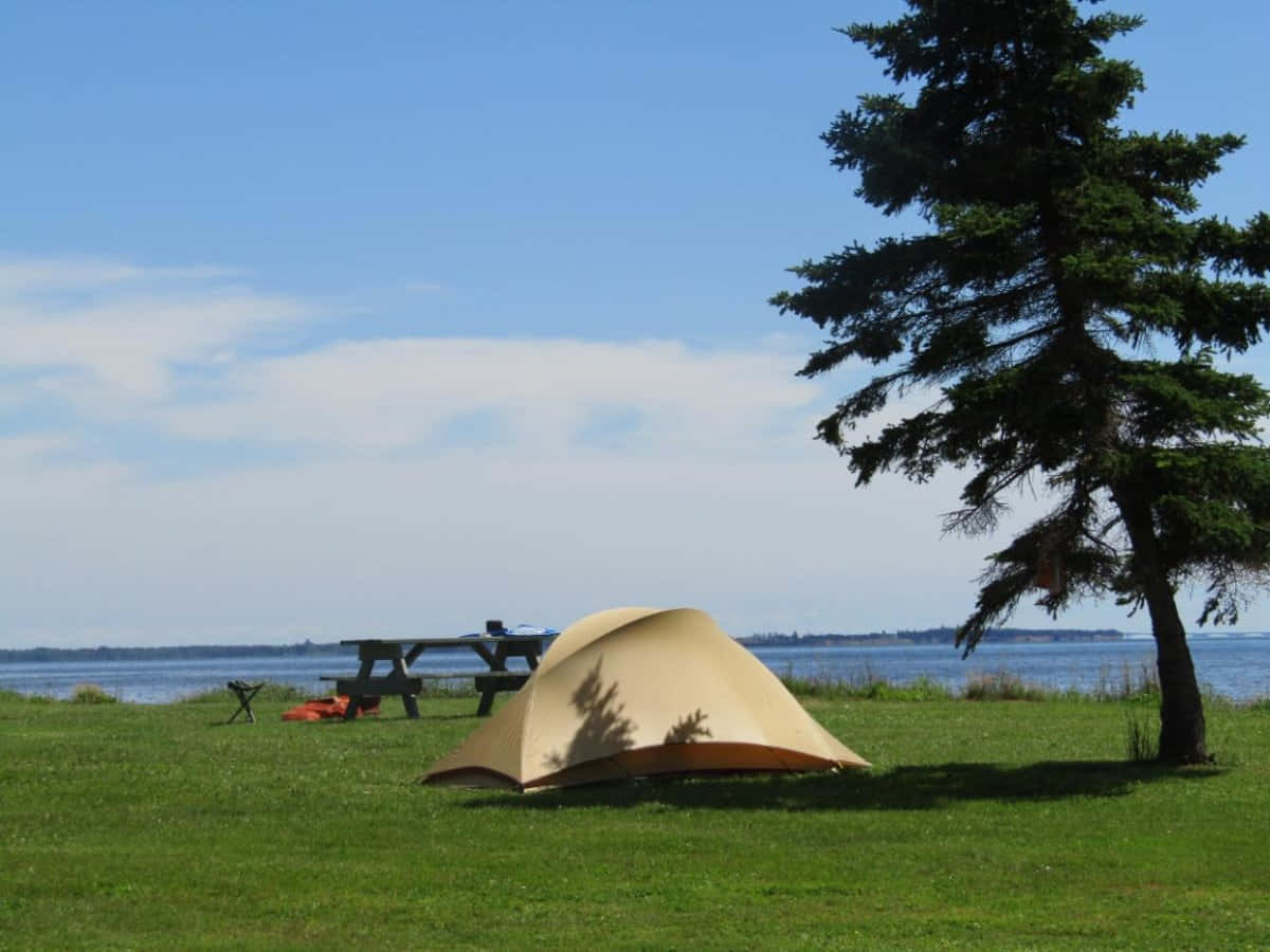 Islander Day, seaside, tan tent, SD Desktop Wallpaper