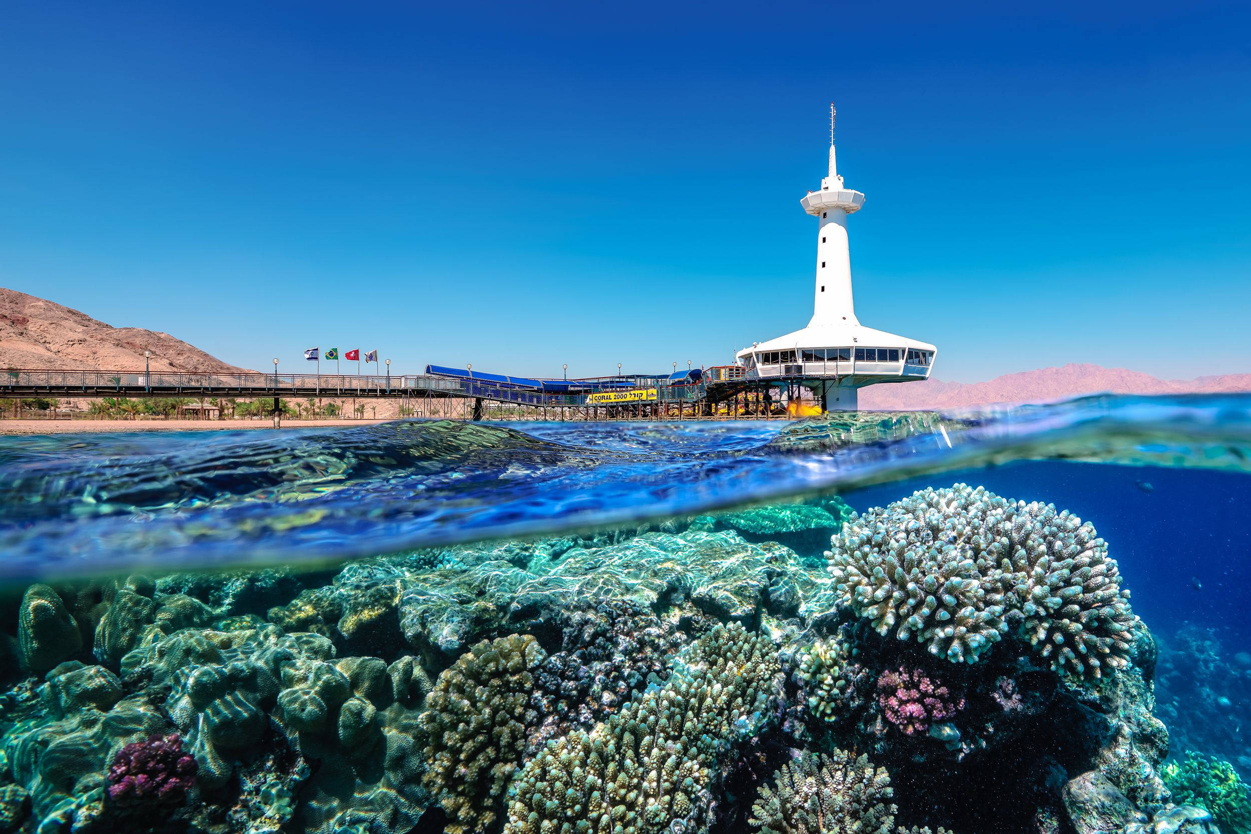 Israel, underwater observatory, coral reef, Full HD Desktop Wallpaper
