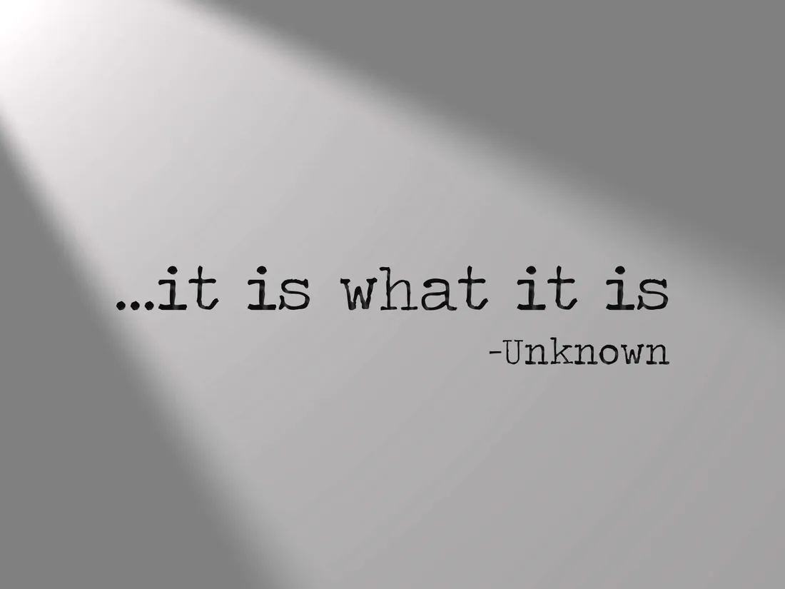 It Is What It Is