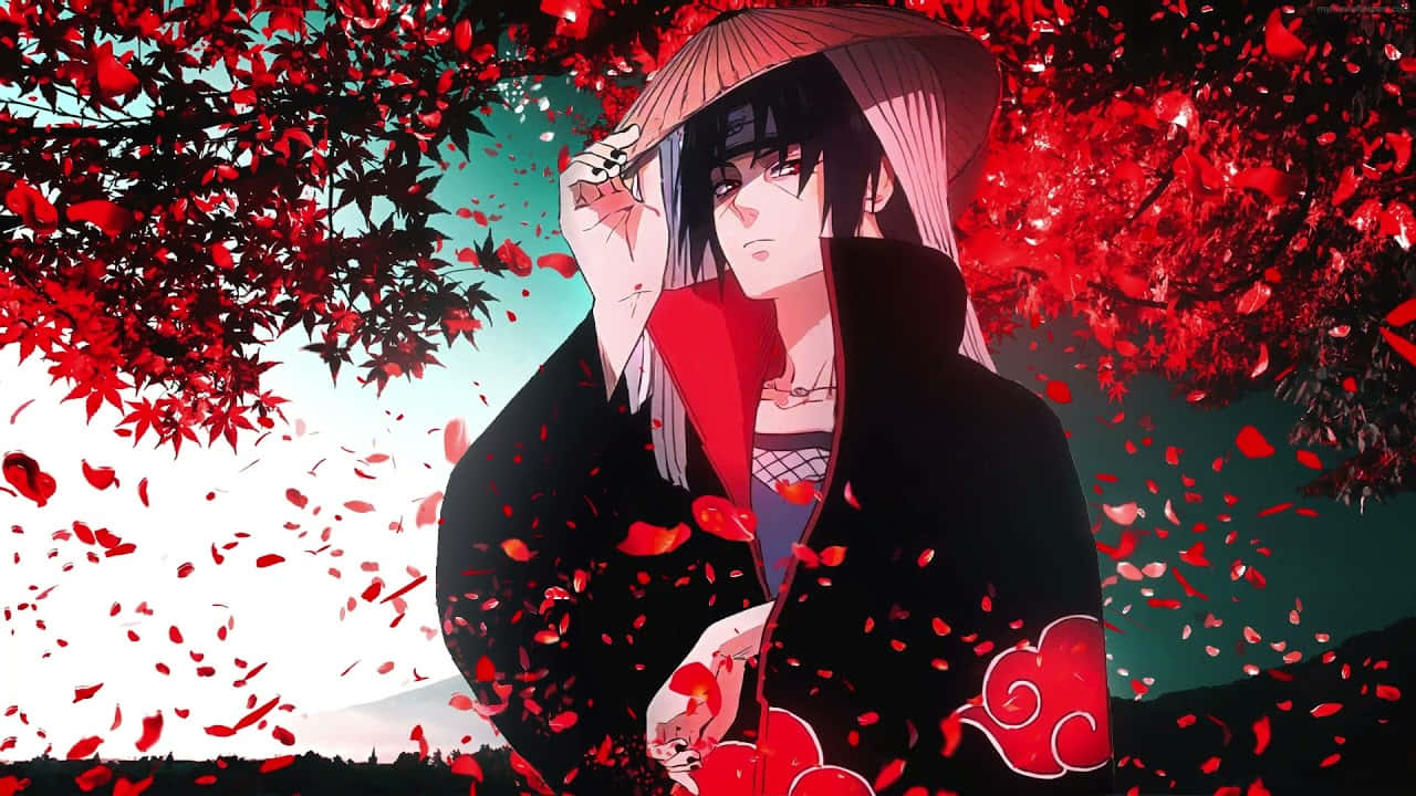 Itachi Live, blossom tree, red maple leaves, HD Desktop Wallpaper