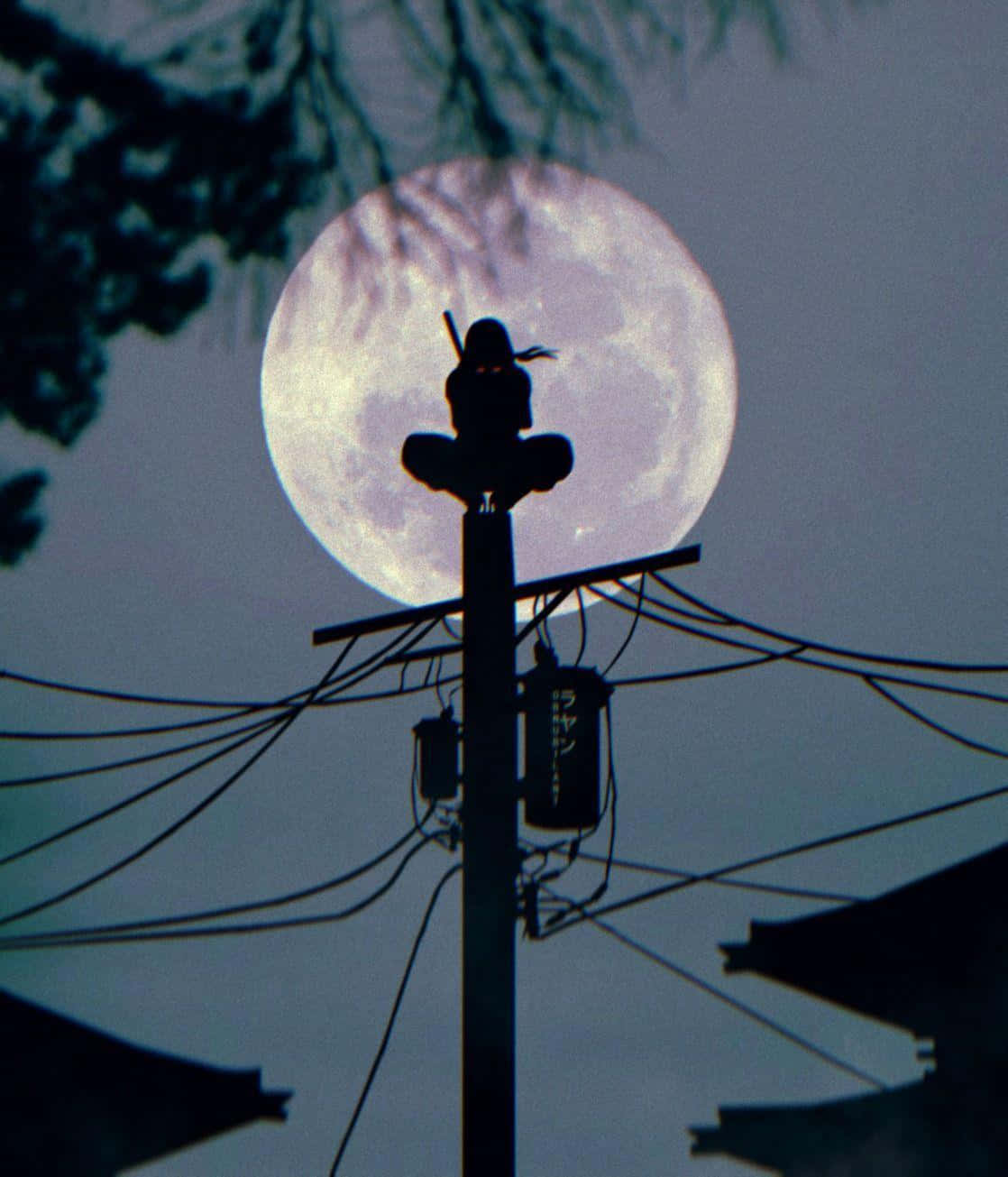 ninja silhouette, full moon, utility pole, HD Phone Wallpaper