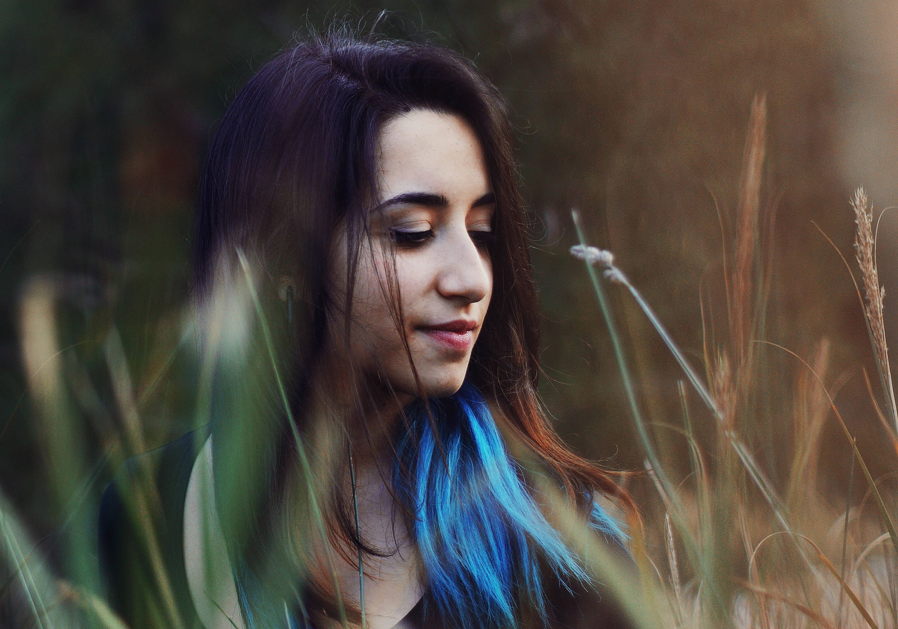 Italian Girl, blue hair streak, golden grasses, 2K Desktop Wallpaper