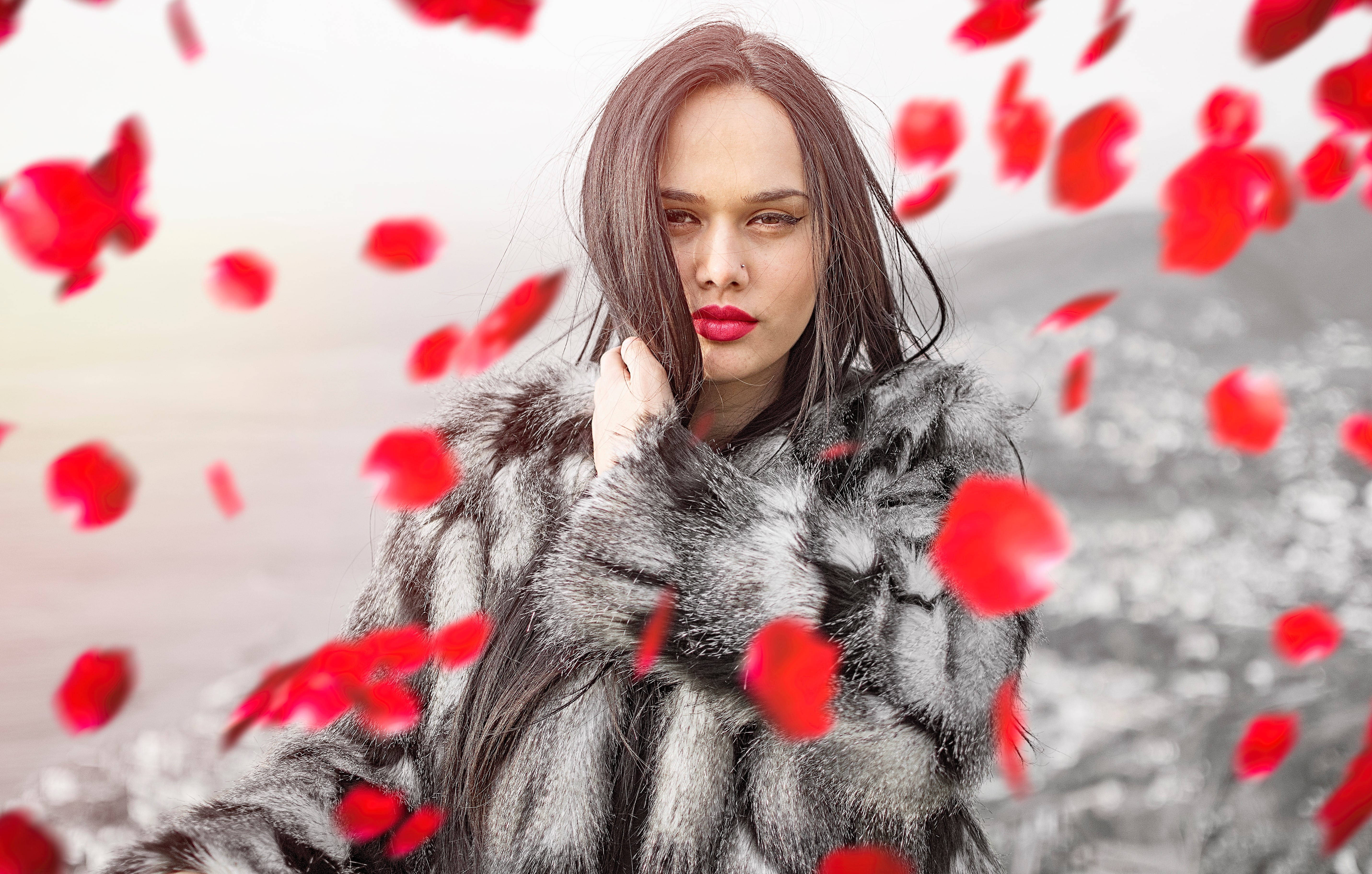 Italian Girl, silver fur coat, red rose petals, 5K Desktop Wallpaper