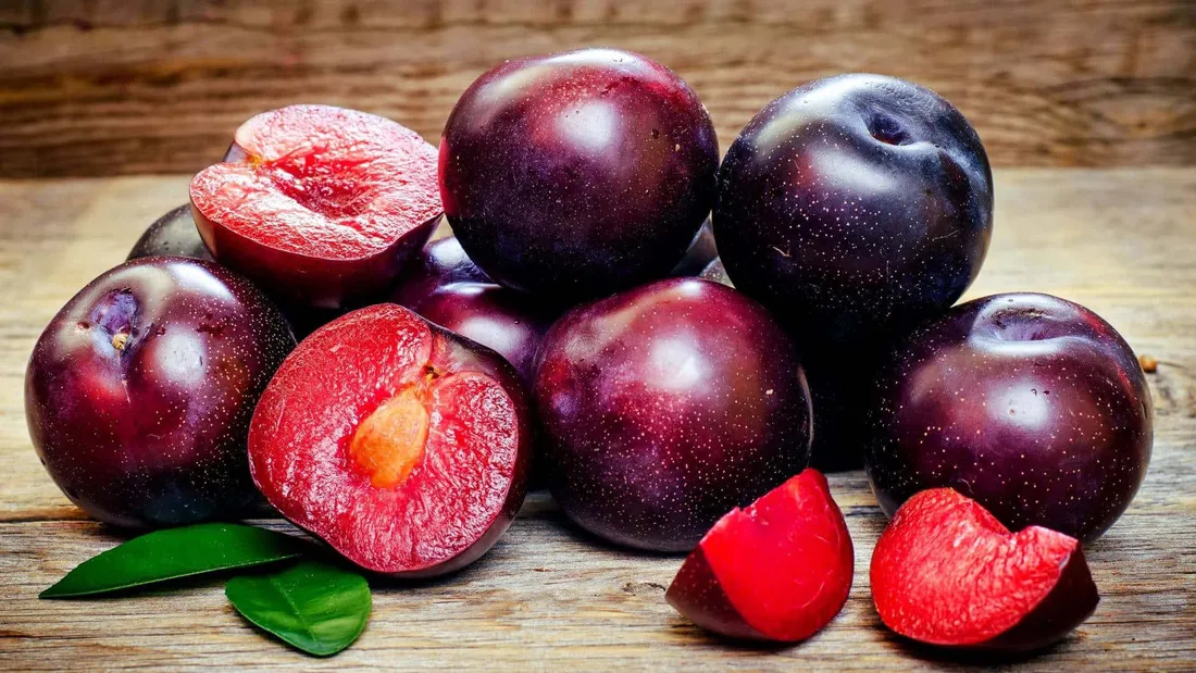 Italian Prune Plum