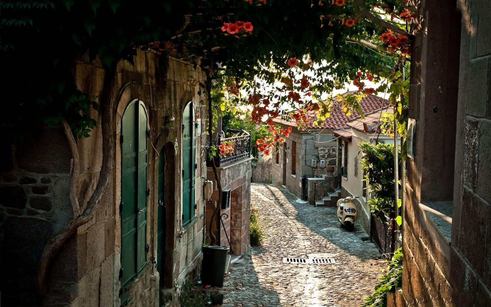 narrow cobblestone alley, vibrant red flowers, stone buildings, Full HD Desktop Wallpaper