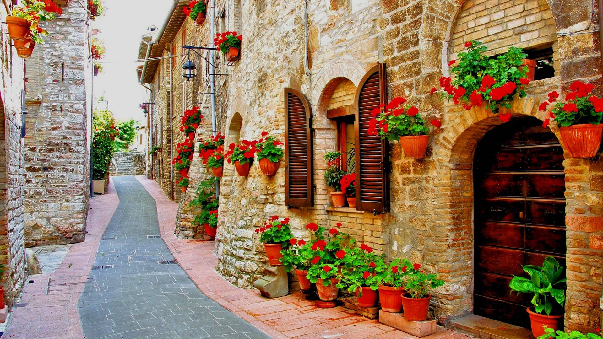 Italy, flower walkway, cobblestone alleyway, Full HD Desktop Wallpaper
