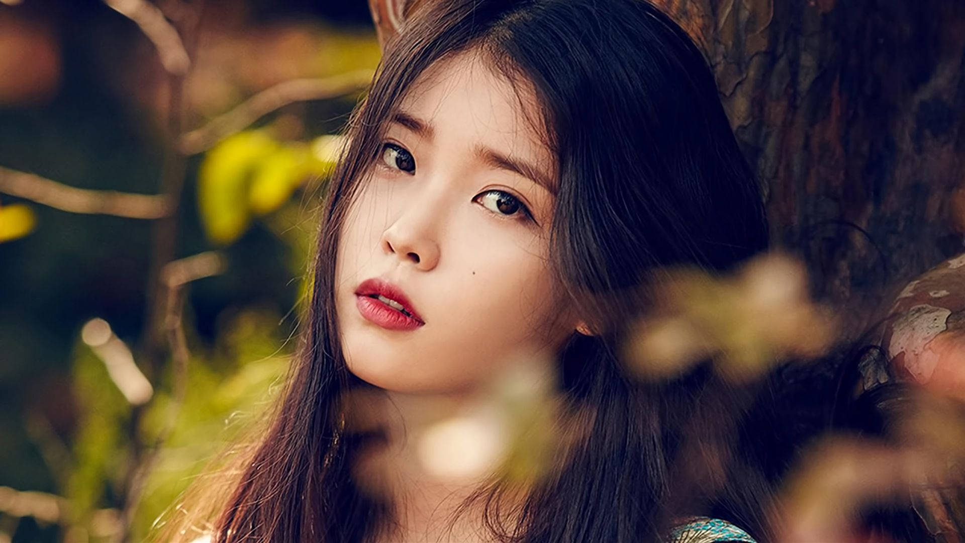 IU, wood, sunlit forest, Full HD Desktop Wallpaper