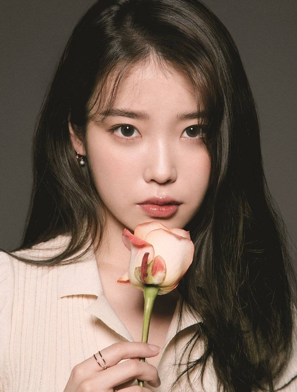 IU, pink rose, dark hair, HD Phone Wallpaper