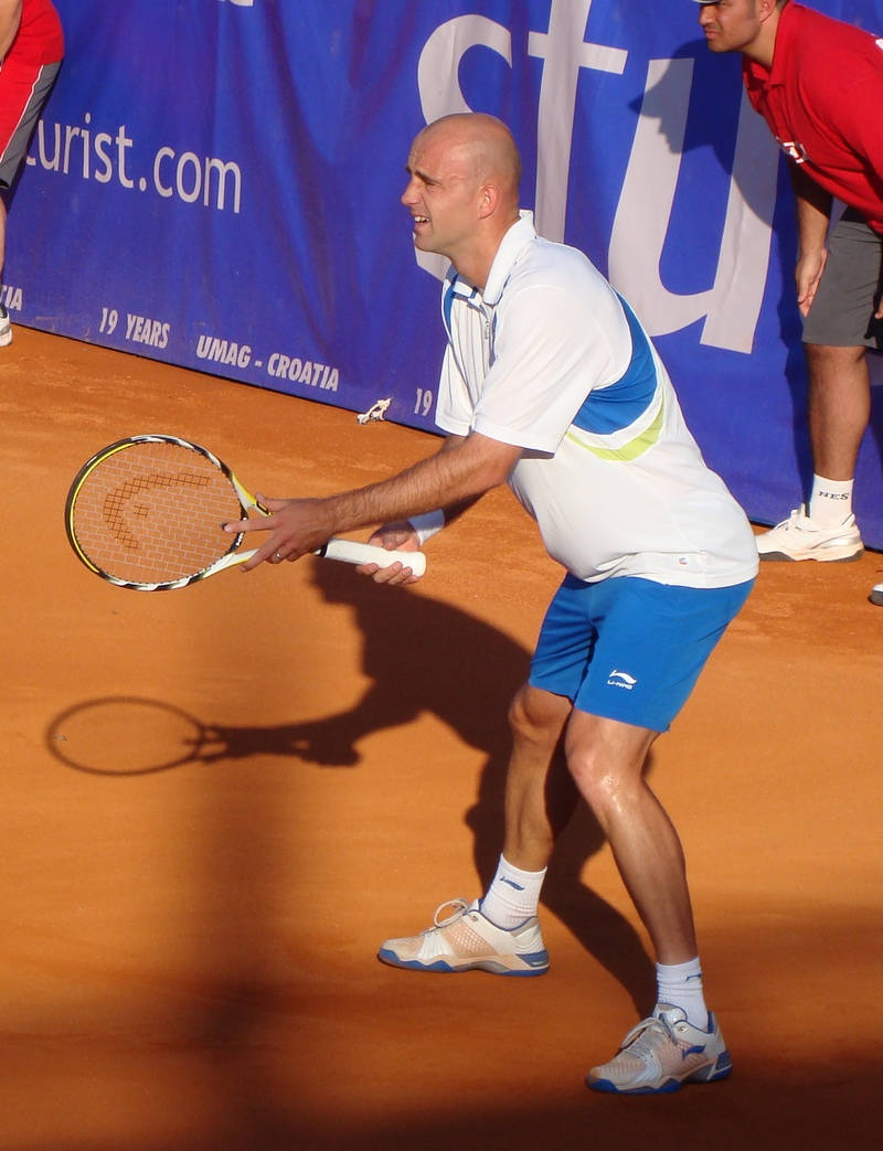 Ivan Ljubicic, tennis court, clay court, SD Phone Wallpaper
