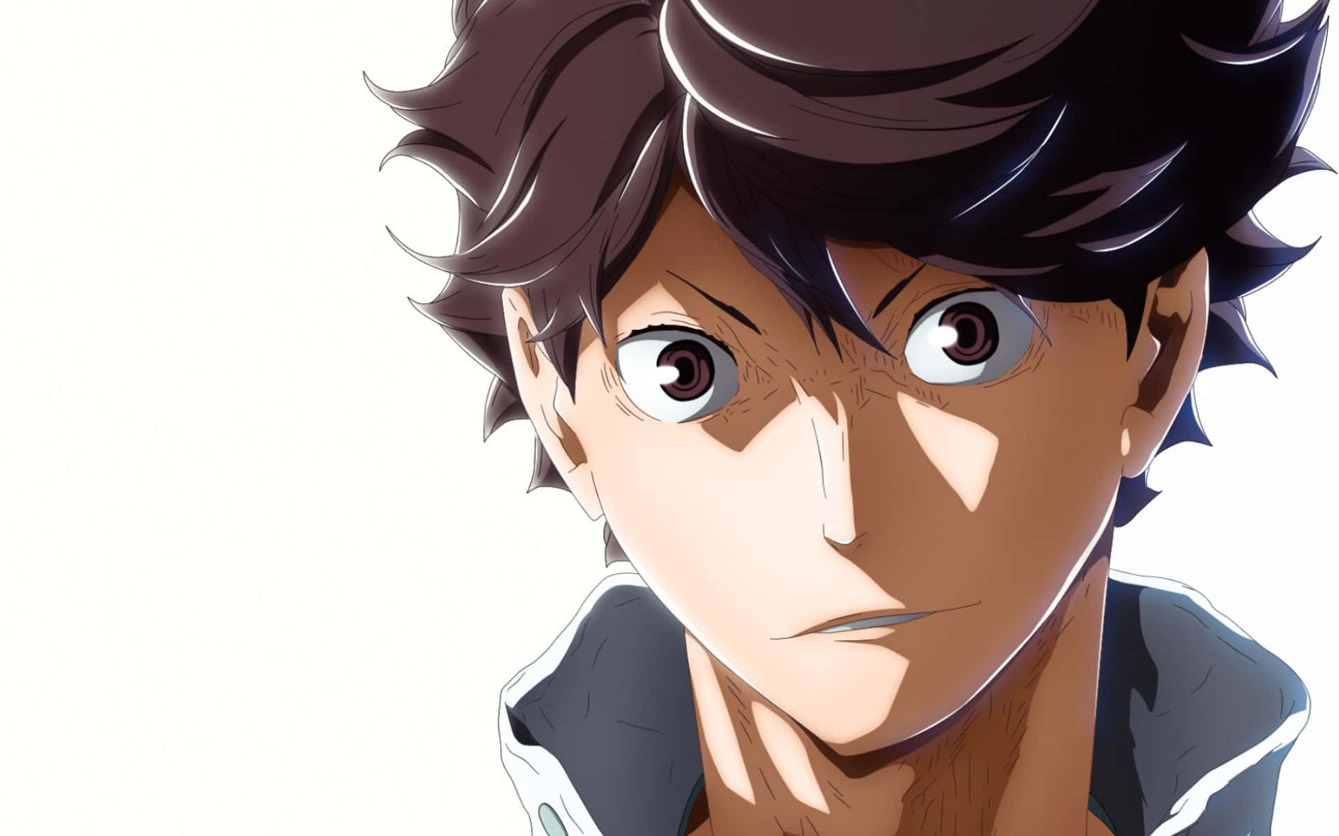 Iwaizumi Hajime, anime male character, intense brown eyes, Full HD Desktop Wallpaper