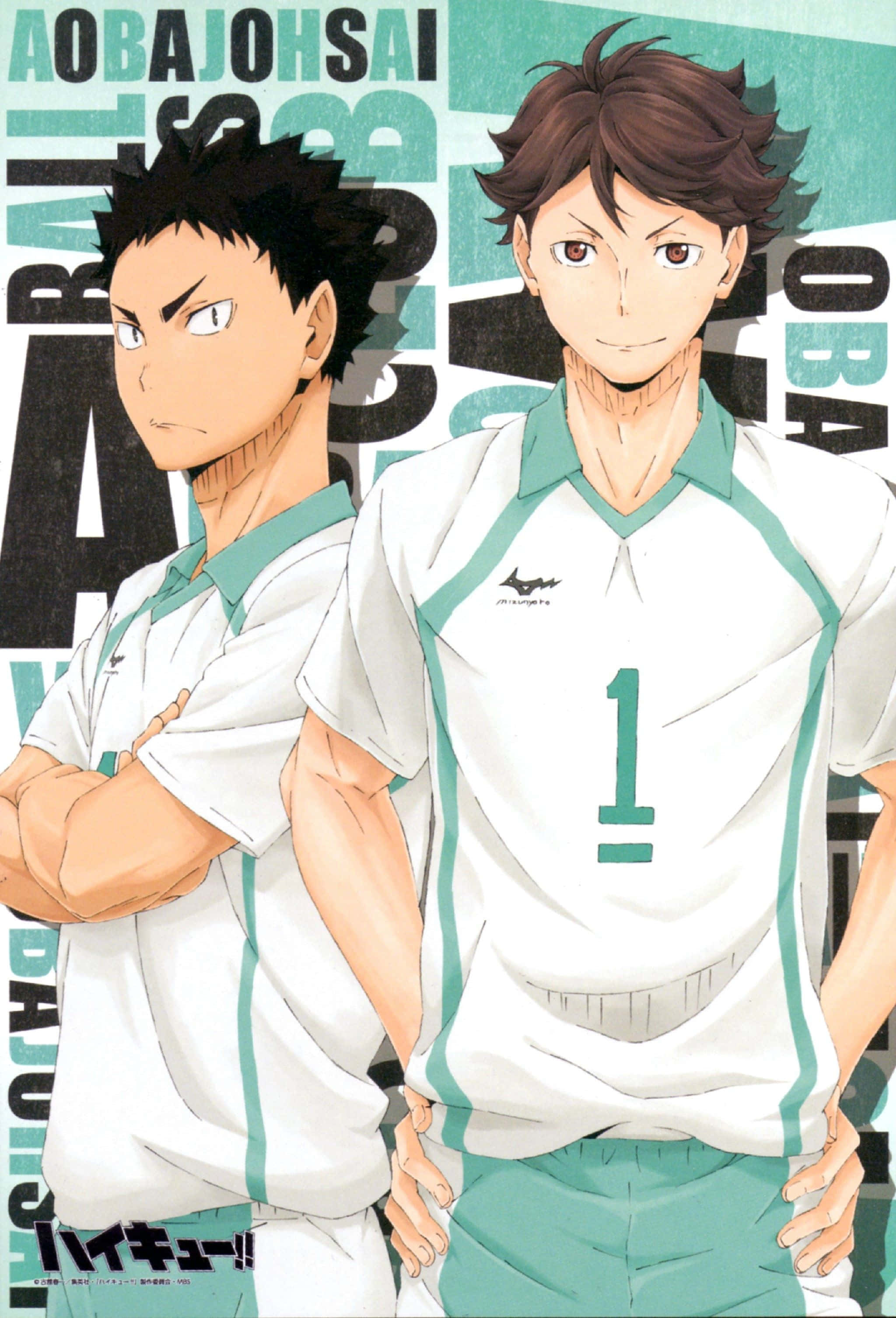 Iwaizumi Hajime, anime volleyball players, white and teal uniforms, 2K Phone Wallpaper