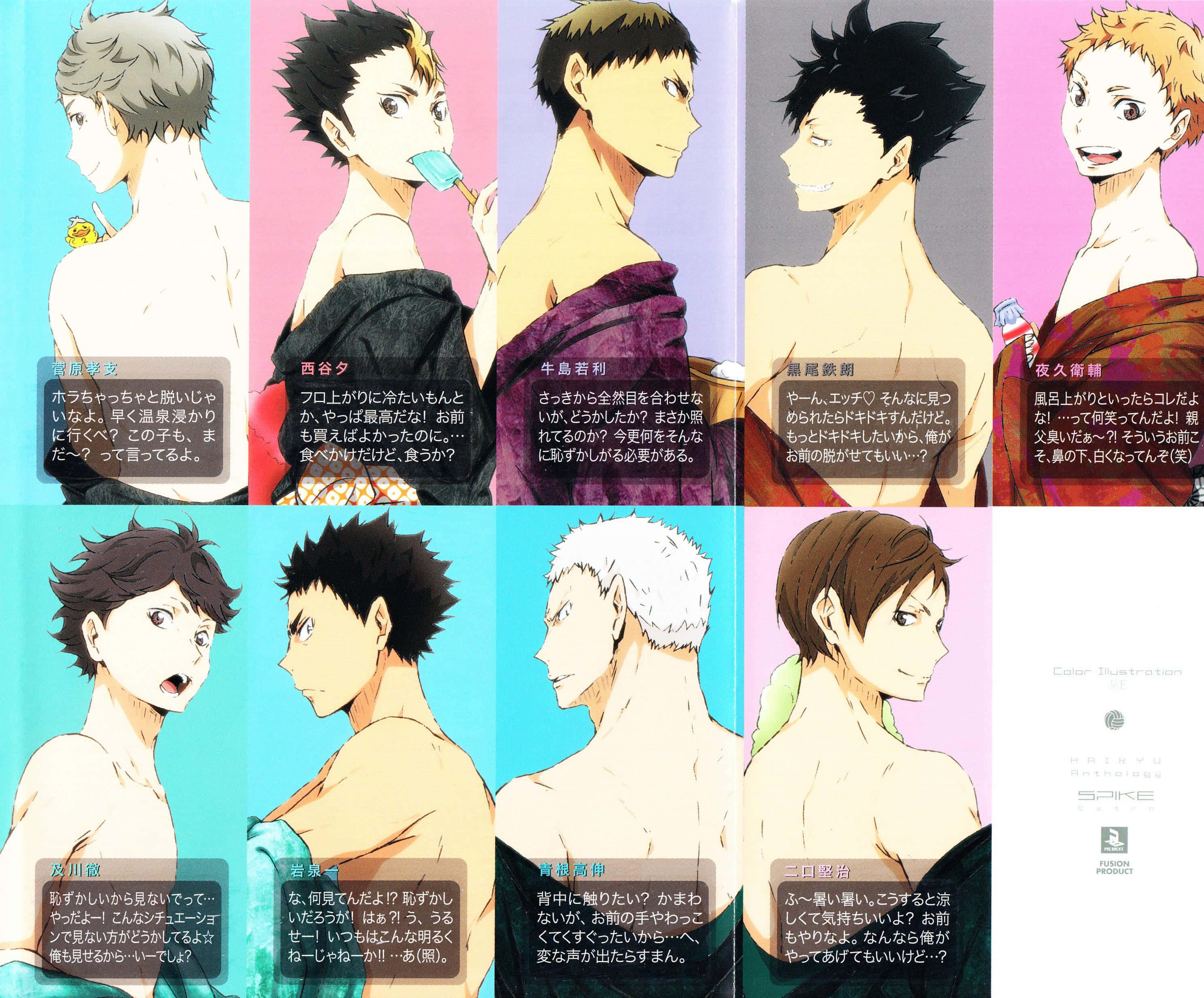 Iwaizumi Hajime, anime characters, profile, 2K Desktop Wallpaper