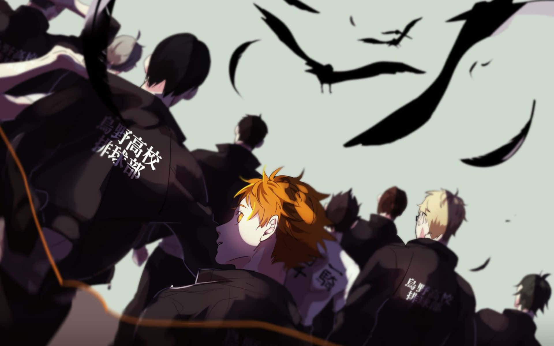 Iwaizumi Hajime, black jackets, dark birds, Full HD Desktop Wallpaper