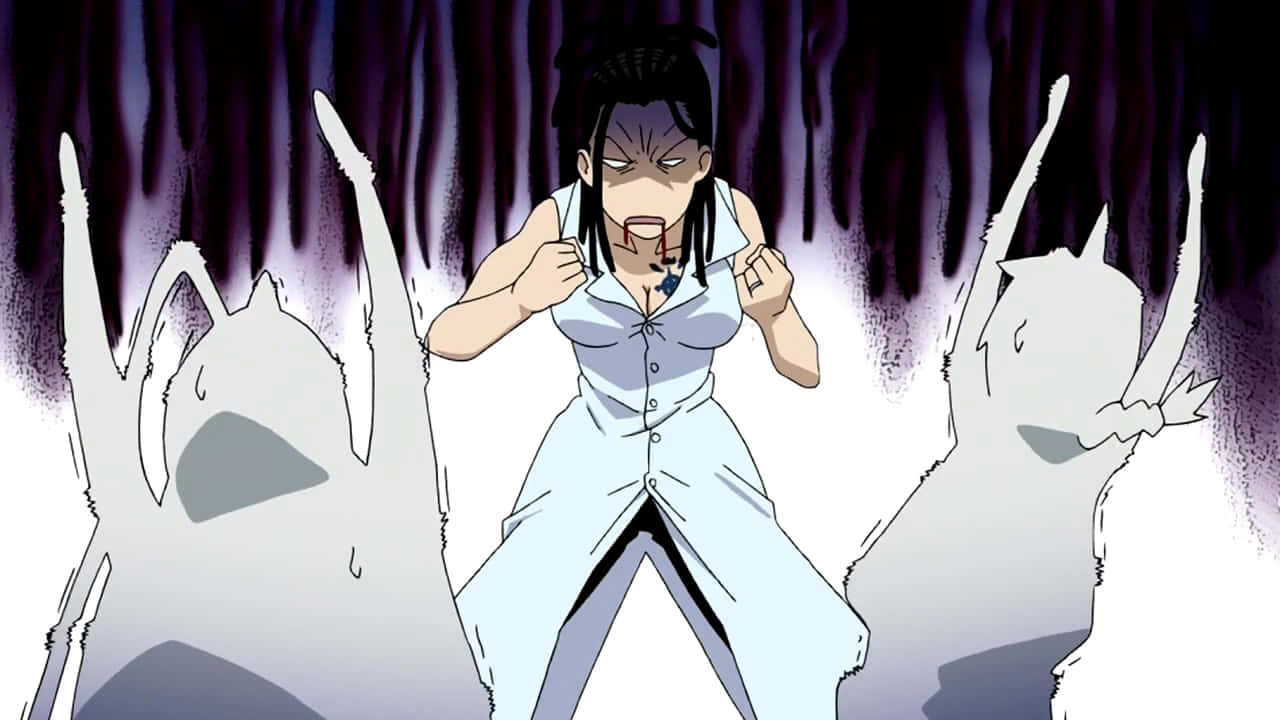 Izumi Curtis, white outfit, ghostly cat figures, HD Desktop Wallpaper