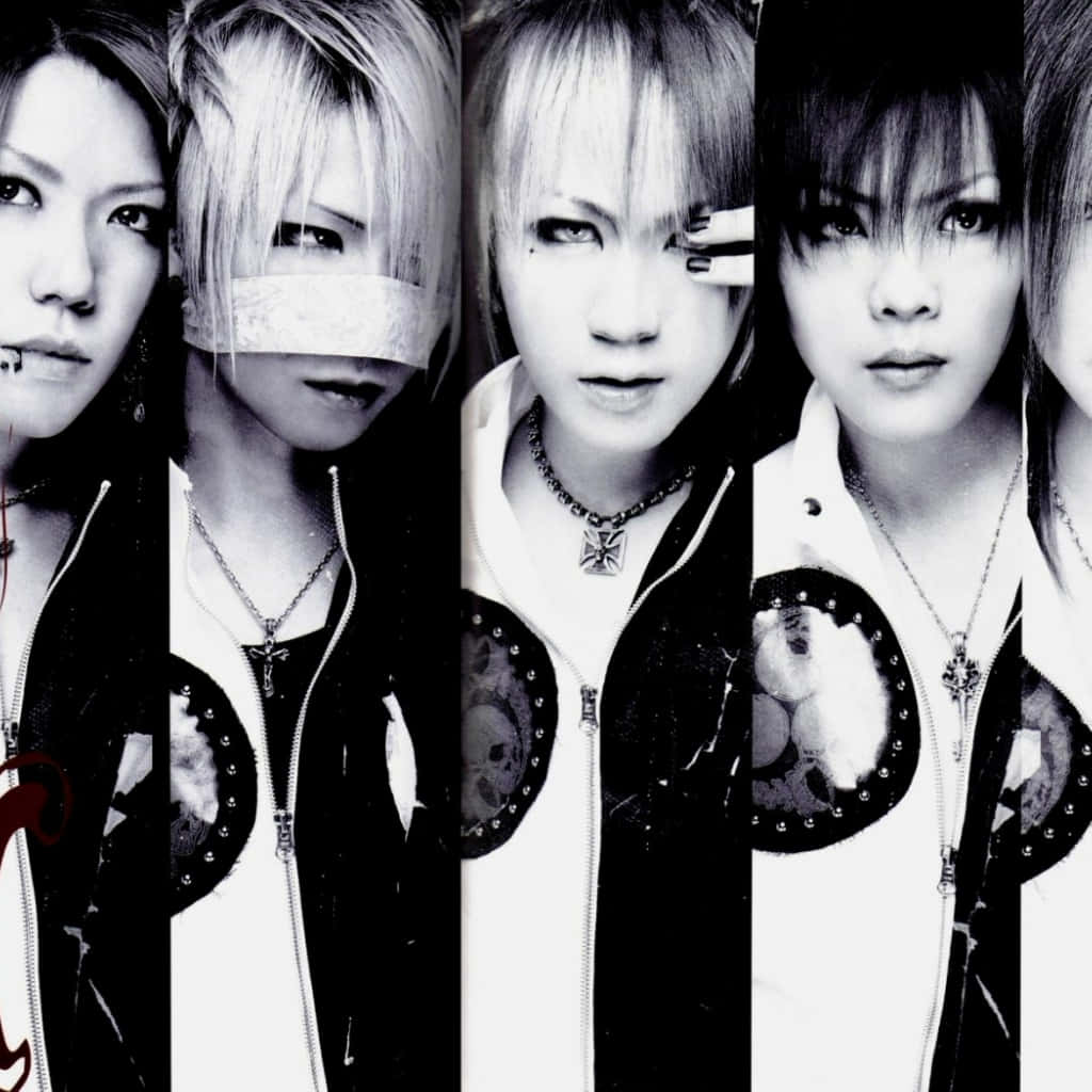 J-Rock, black and white portrait, stylized hair, SD Desktop Wallpaper