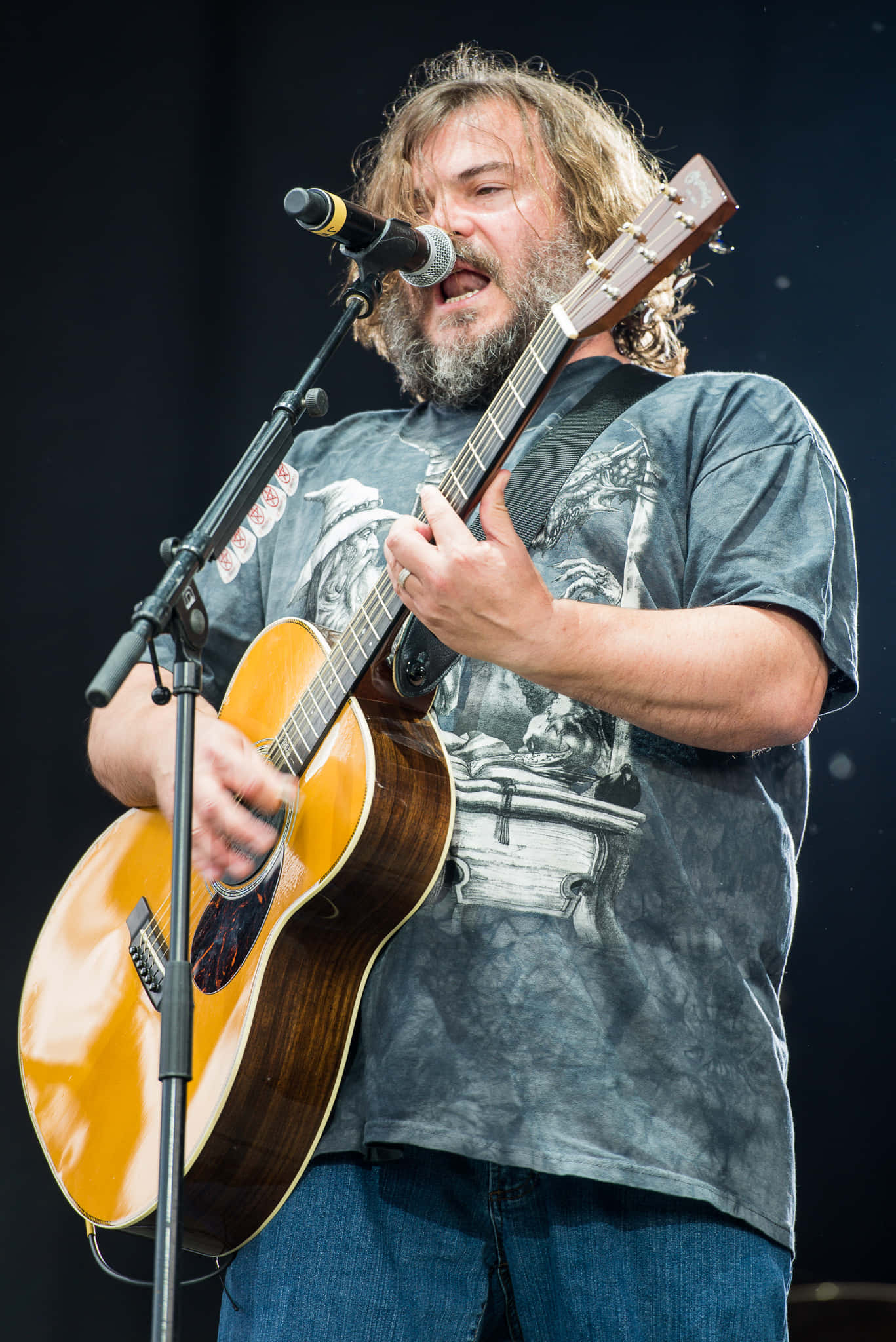Jack Black, acoustic guitar, microphone, Full HD Phone Wallpaper