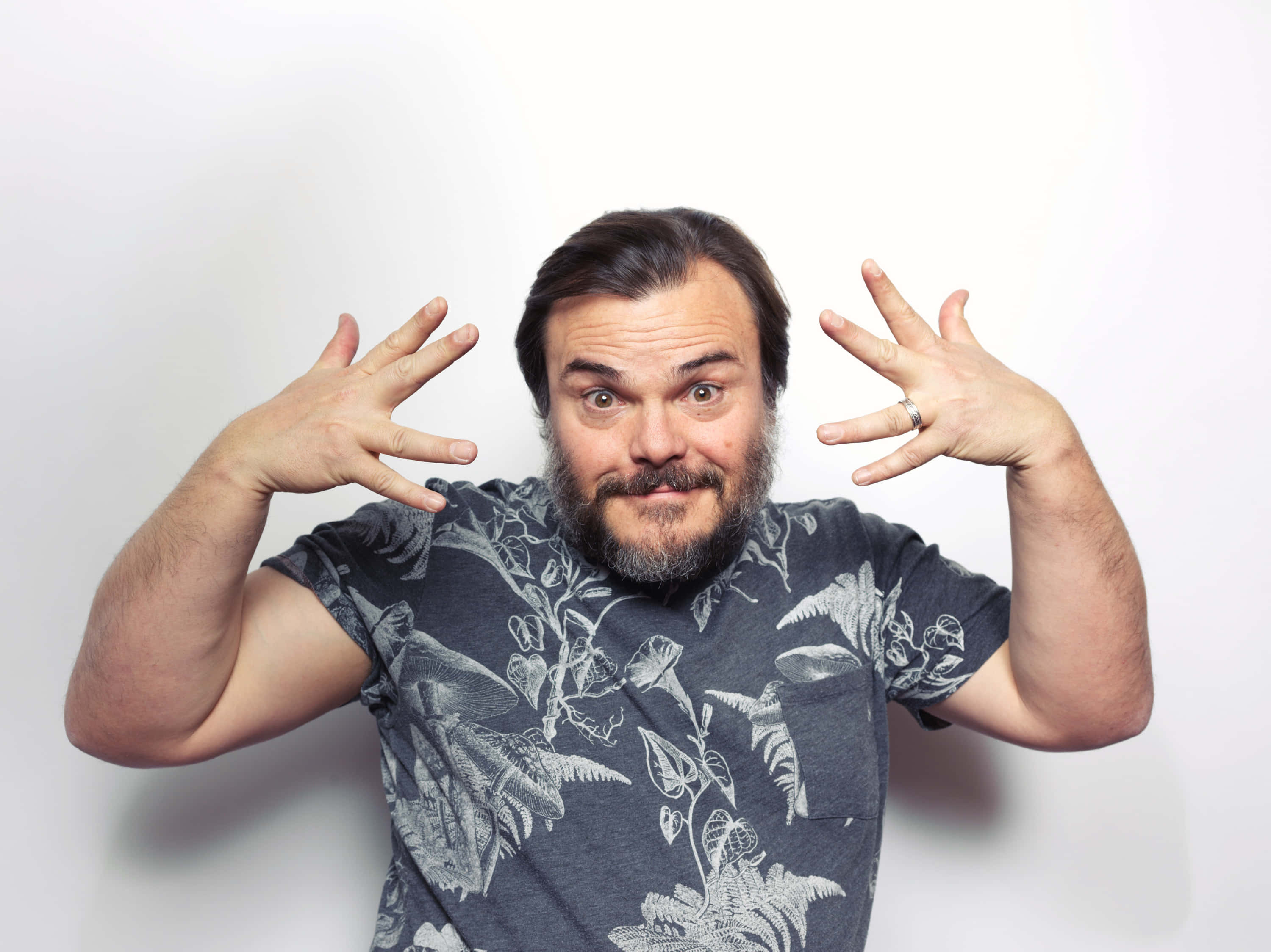 Jack Black, white background, playful face, 2K Desktop Wallpaper