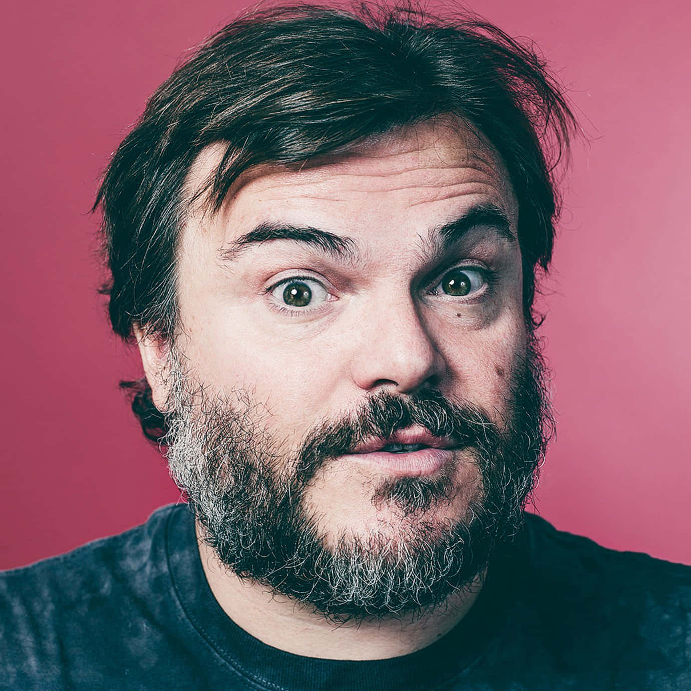 jack black, solid pink background, graying beard, HD Desktop Wallpaper