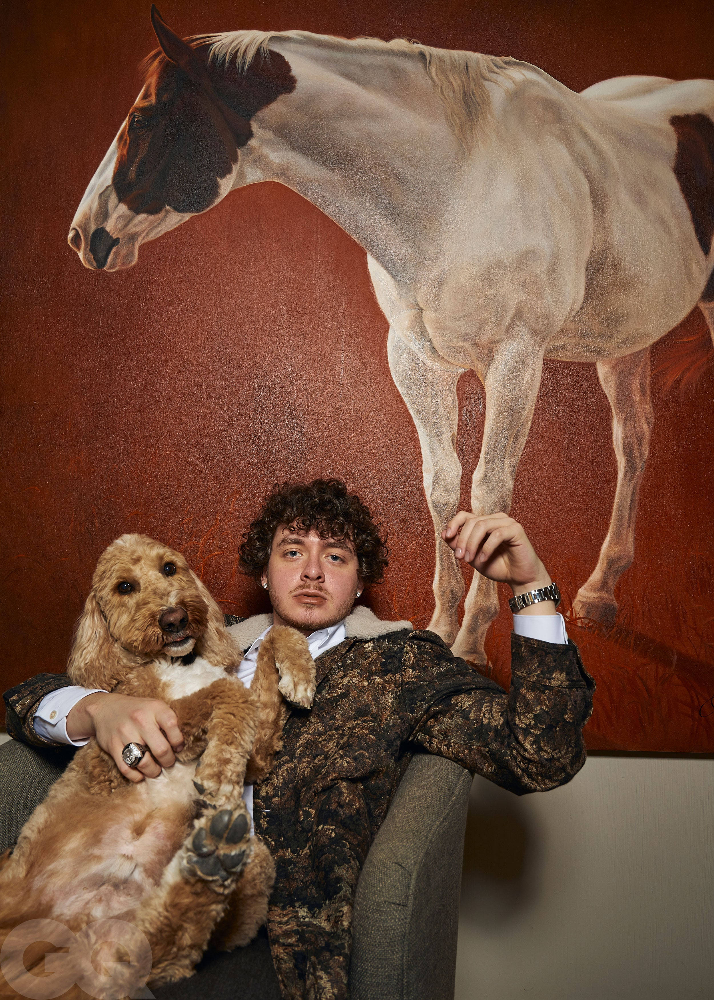 Jack Harlow, fluffy brown dog, large horse painting, 2K Phone Wallpaper