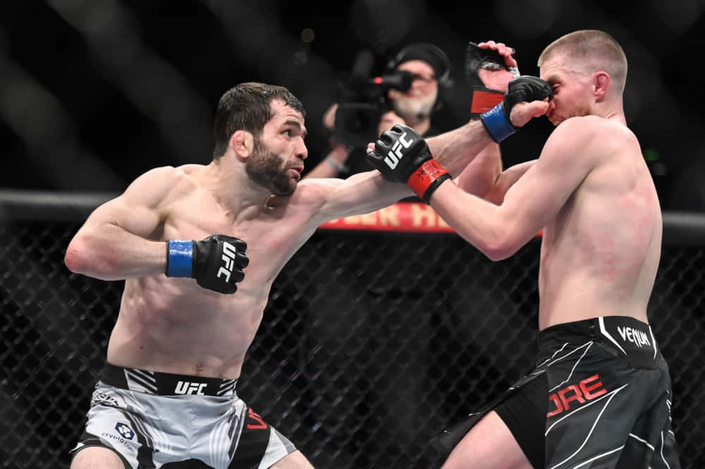Jack Shore, MMA fighters, cage, SD Desktop Wallpaper