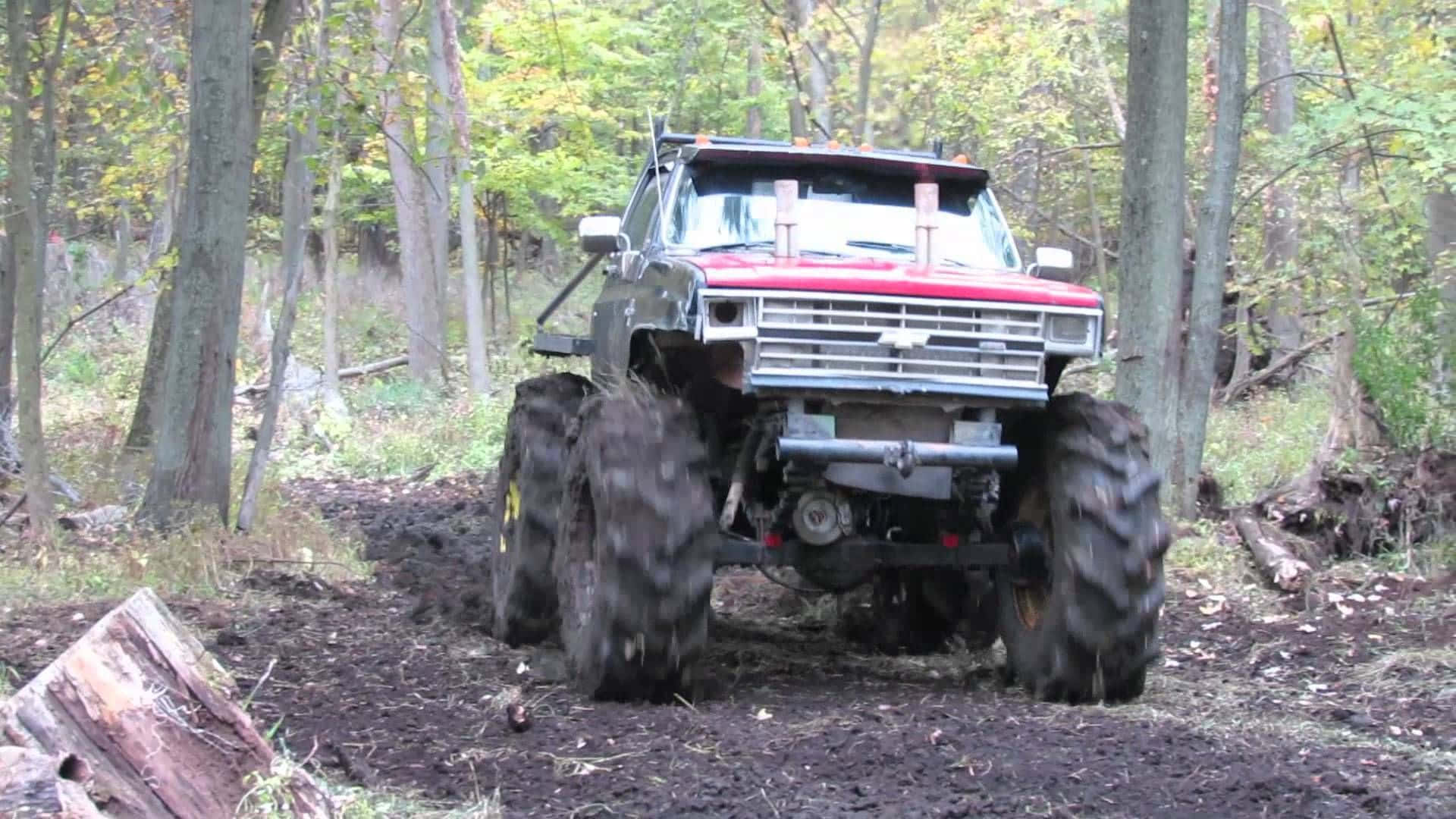 red and black, monster truck, massive tires, Full HD Desktop Wallpaper