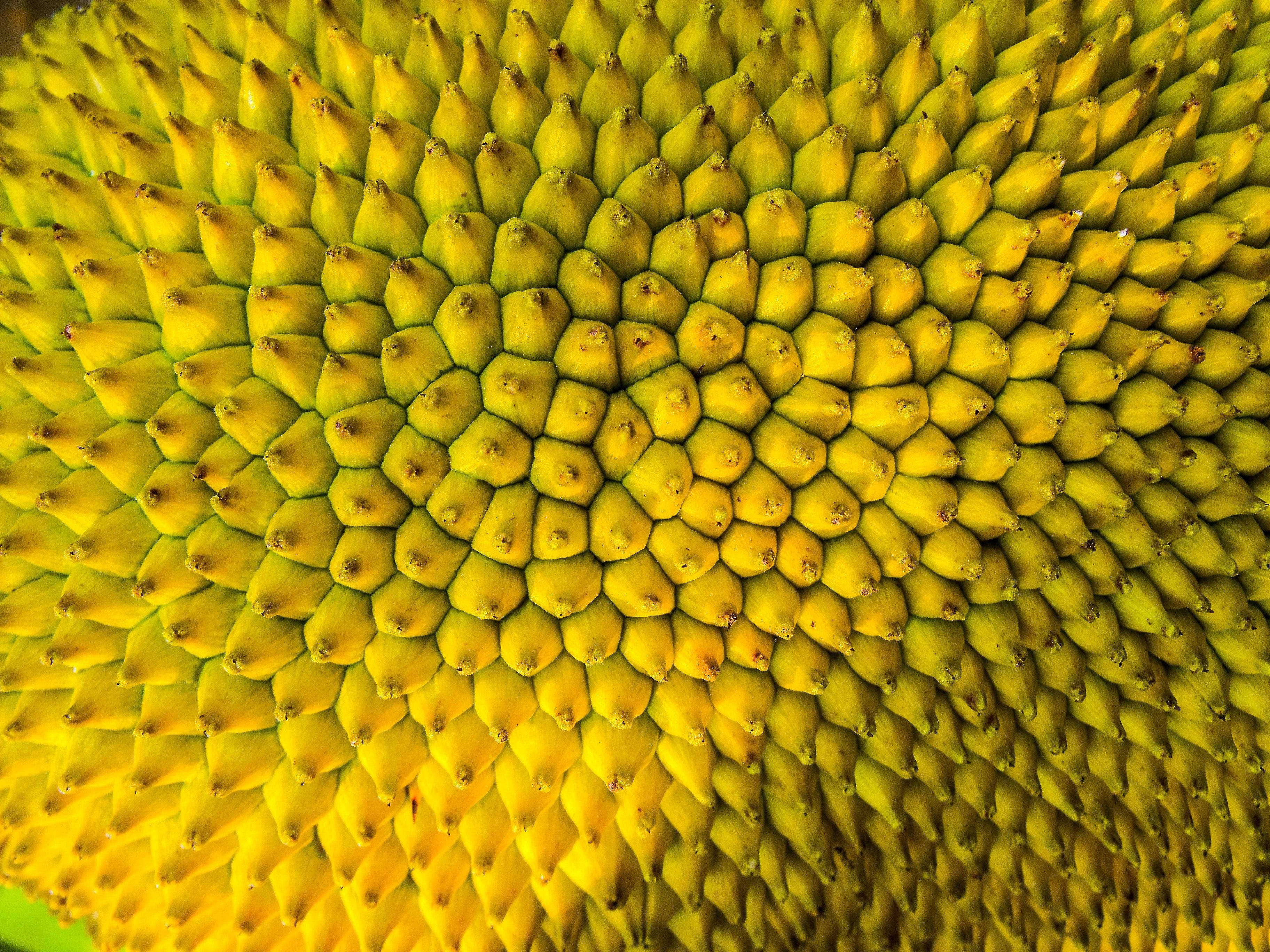 yellow green ripe jackfruit, vibrant yellow spiky surface, intricate geometric patterns, 2K Desktop Wallpaper