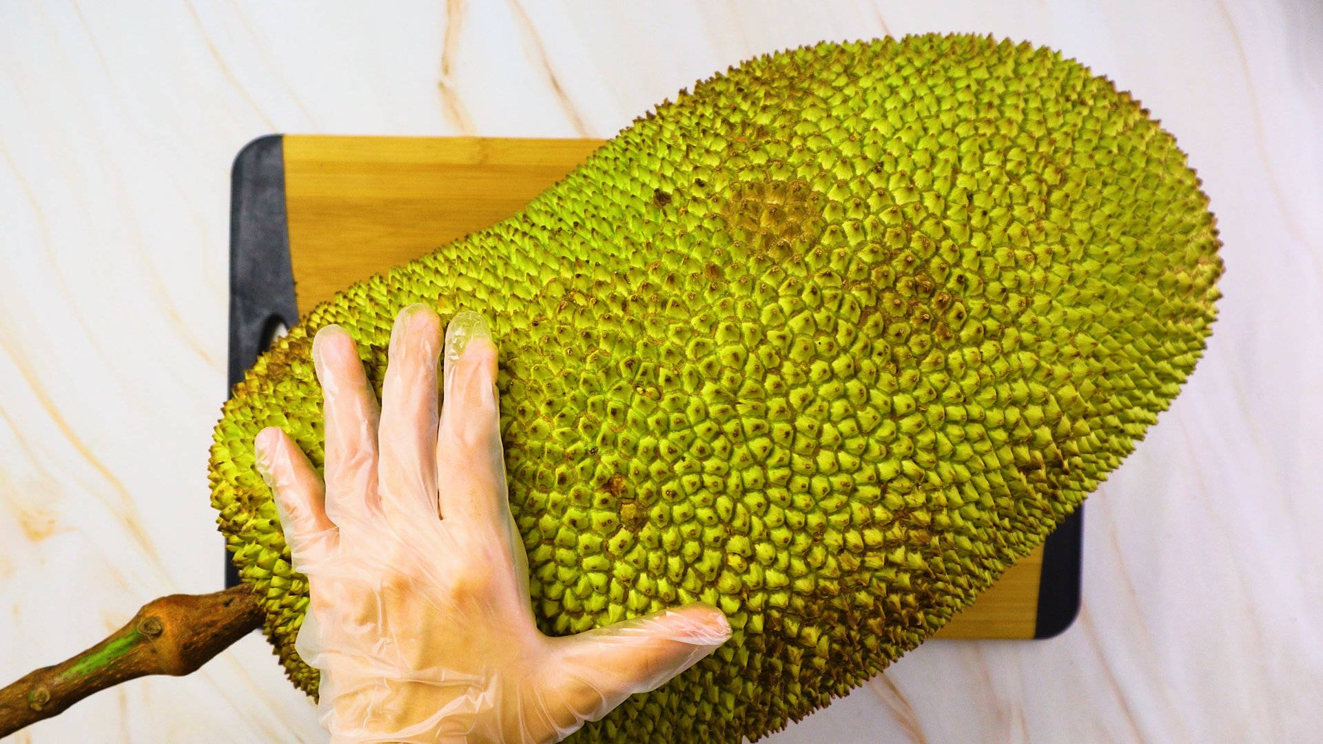 ripe jackfruit, clear glove, giant green spiky jackfruit, Full HD Desktop Wallpaper