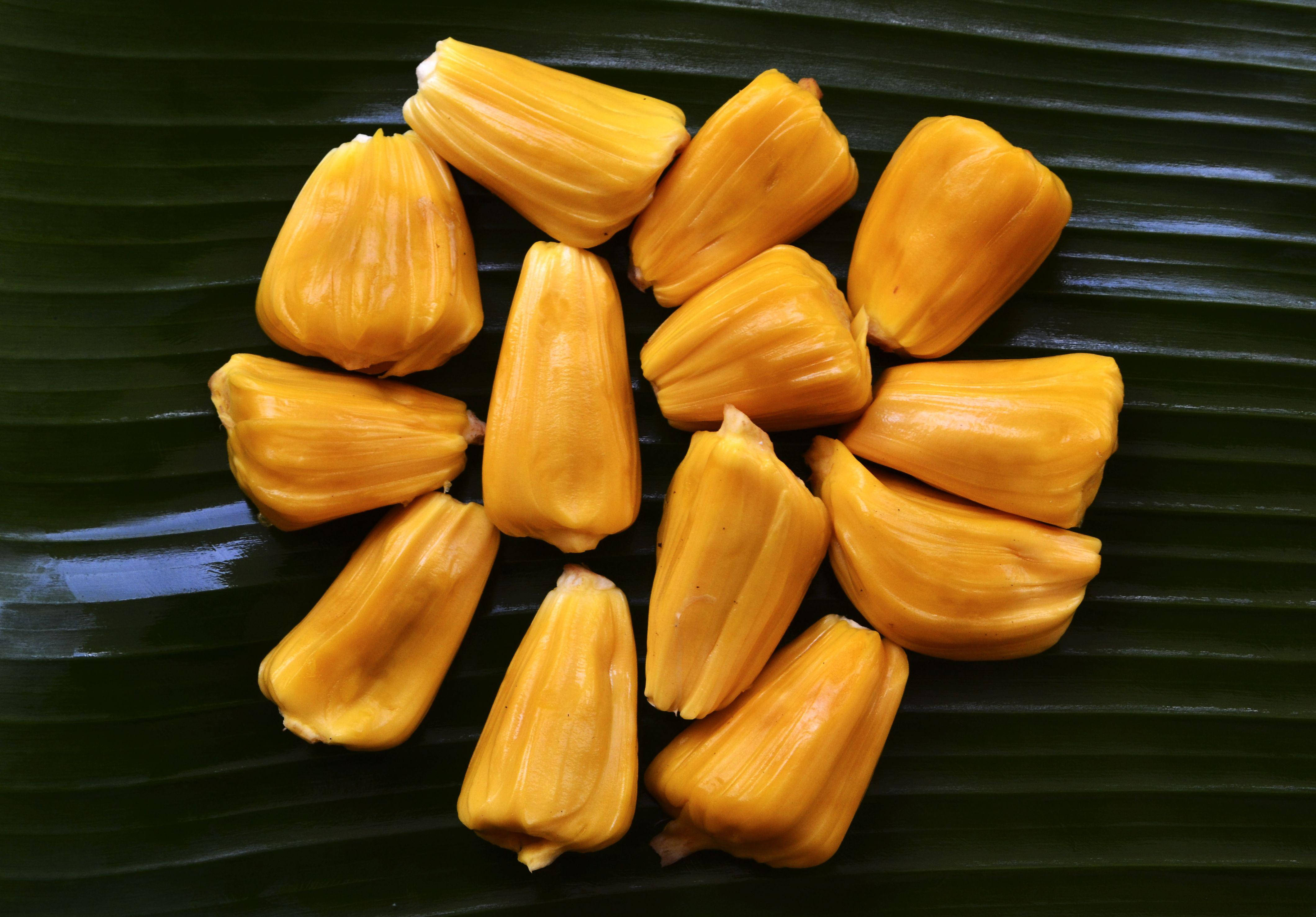 ripe jackfruit pods, golden jackfruit segments, glossy green banana leaf, 4K Desktop Wallpaper