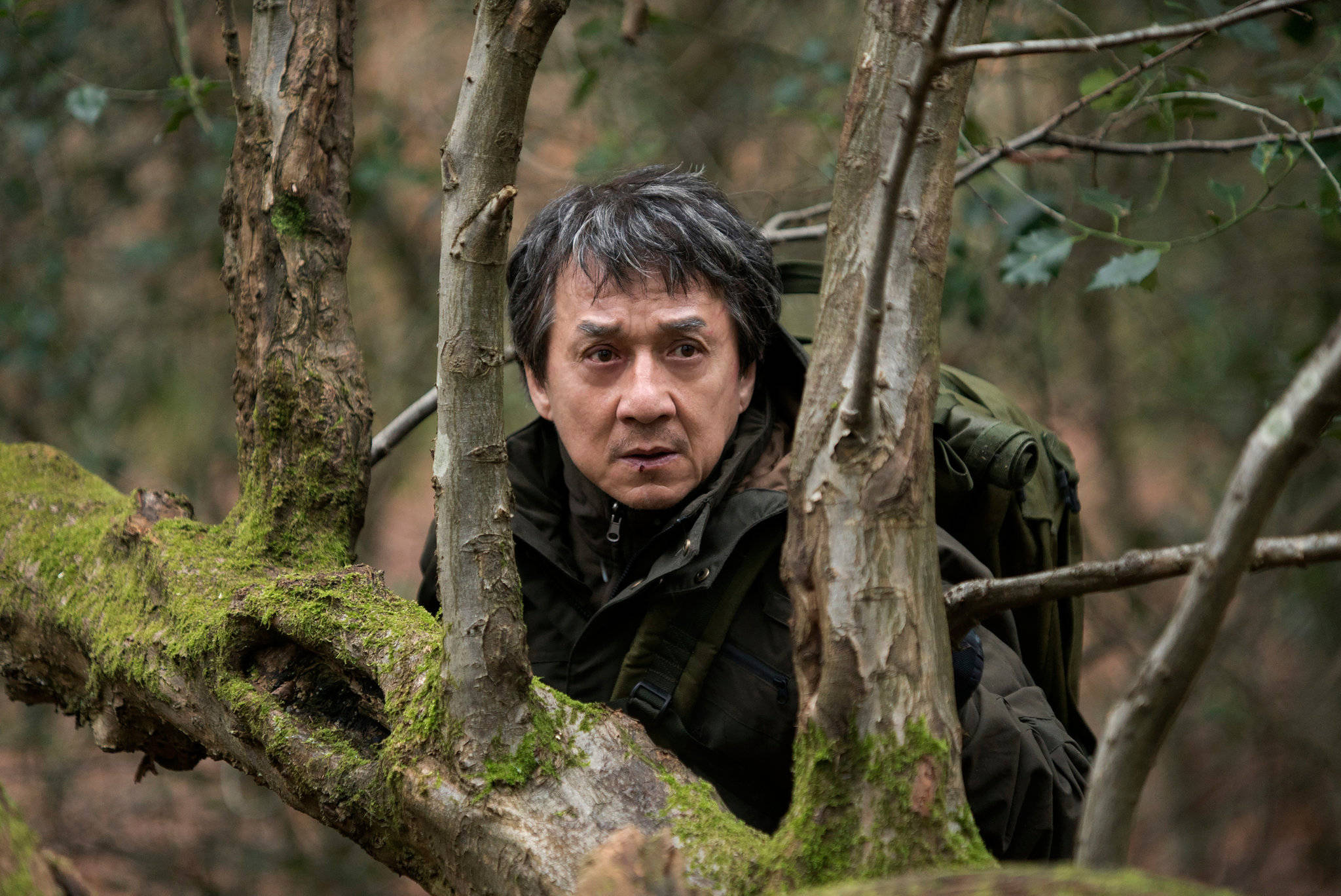 Jackie Chan, woods, mossy tree branches, Full HD Desktop Wallpaper