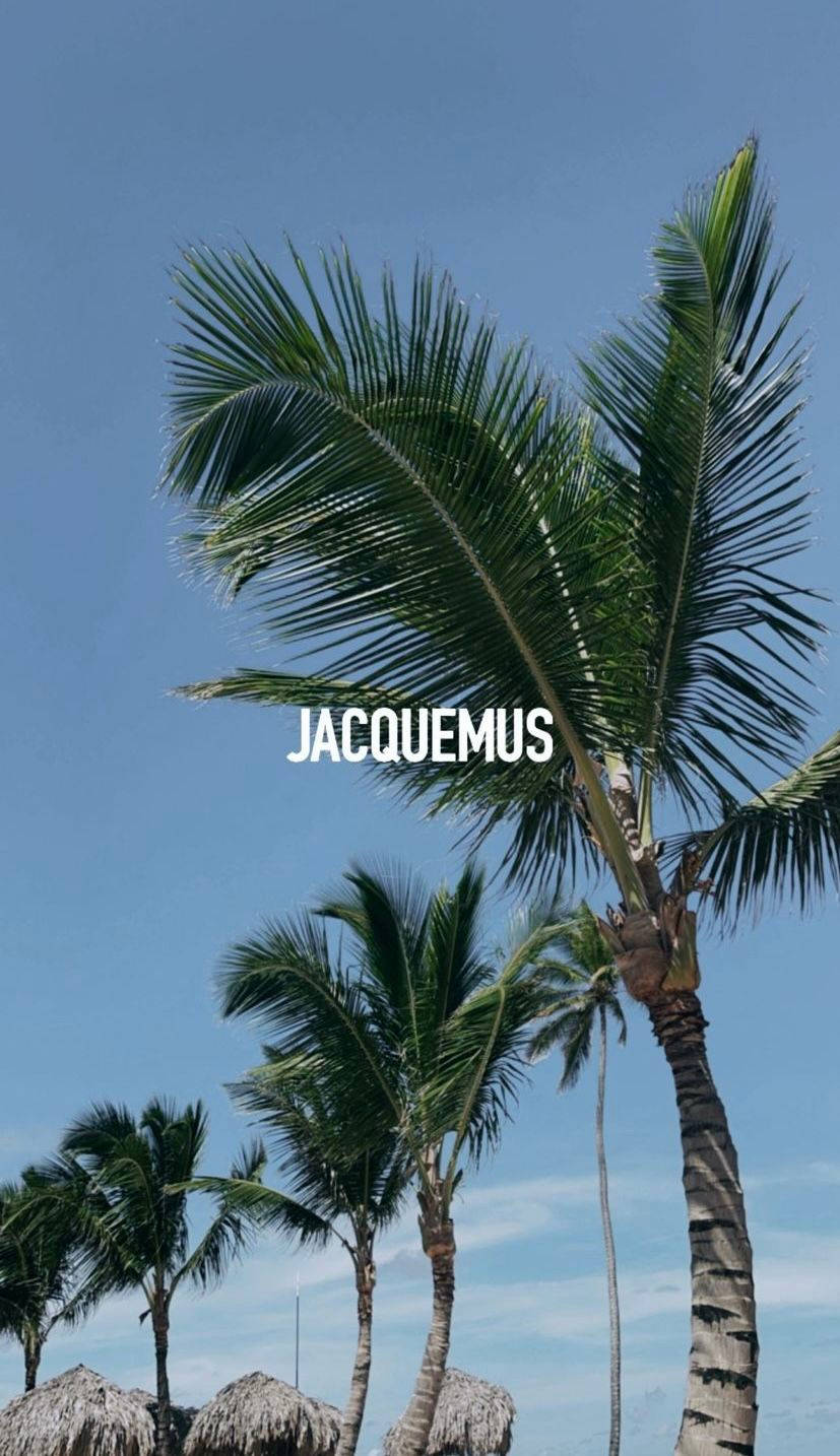 Jacquemus, palm trees, clear blue sky, HD Phone Wallpaper