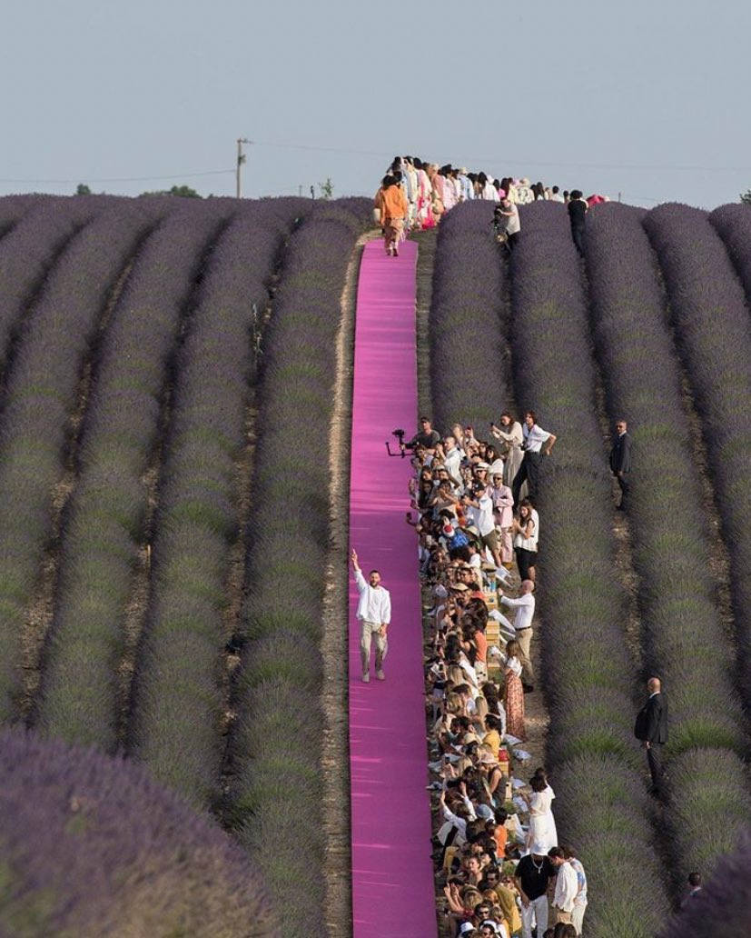 Jacquemus, lavender field, vibrant pink runway, SD Phone Wallpaper