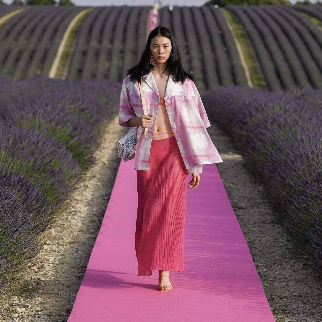 Jacquemus, pink catwalk, purple lavender fields, SD Desktop Wallpaper