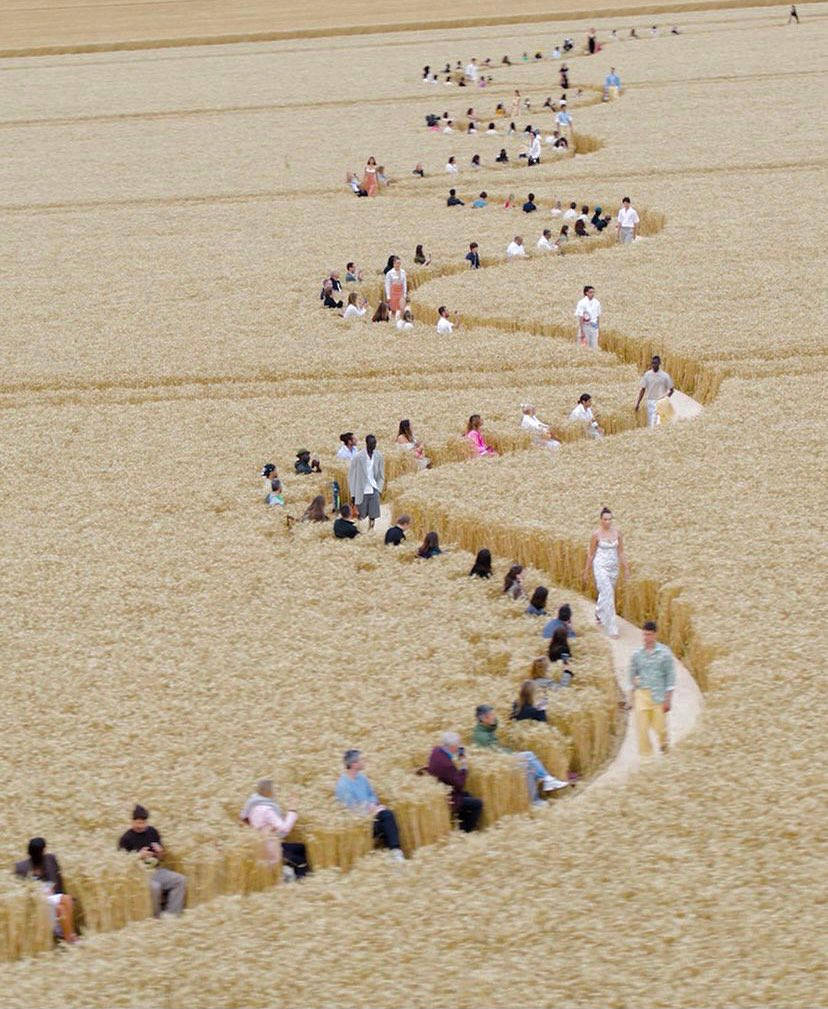 Jacquemus, wheat field, hay bale path, SD Phone Wallpaper