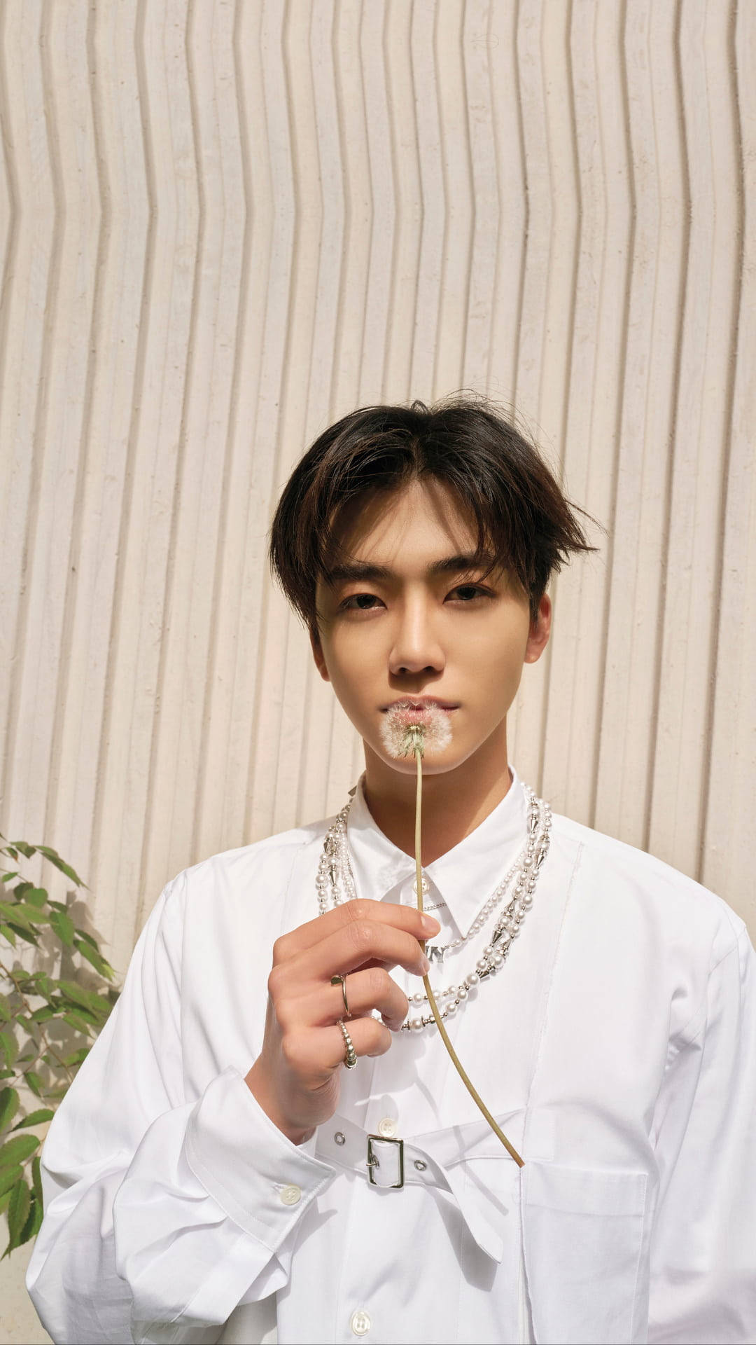 Jaemin NCT, dandelion, white shirt, Full HD Phone Wallpaper