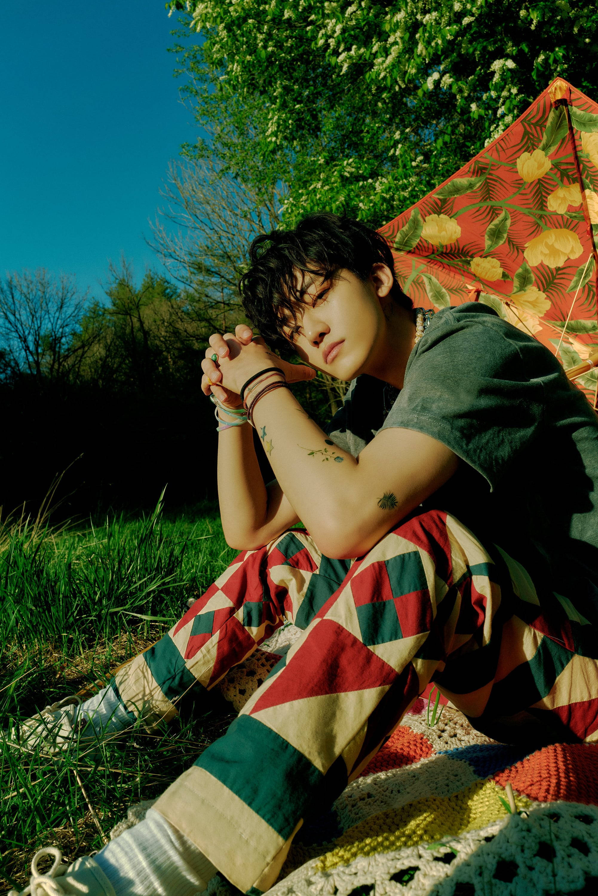 Jaemin NCT, grass, tree, 2K Phone Wallpaper