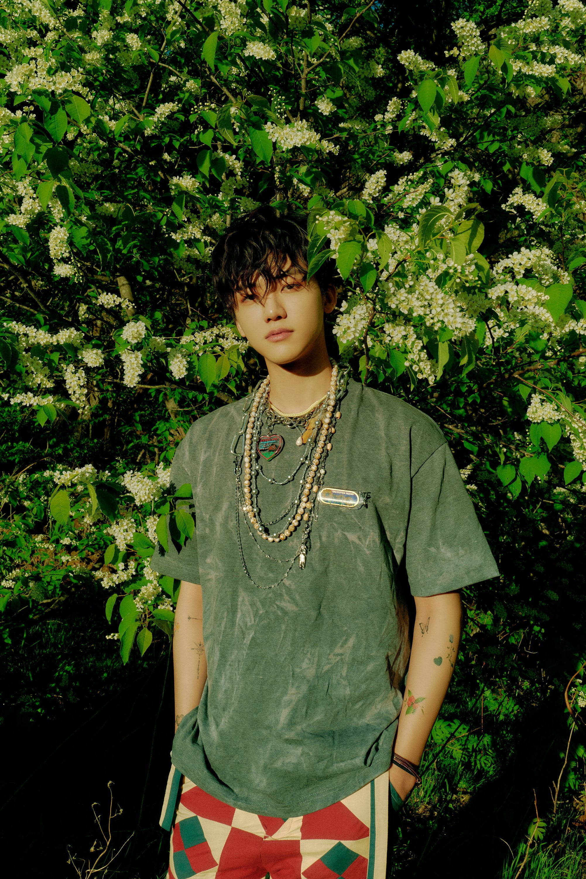 Jaemin NCT, white flowers, lush green bush, 2K Phone Wallpaper