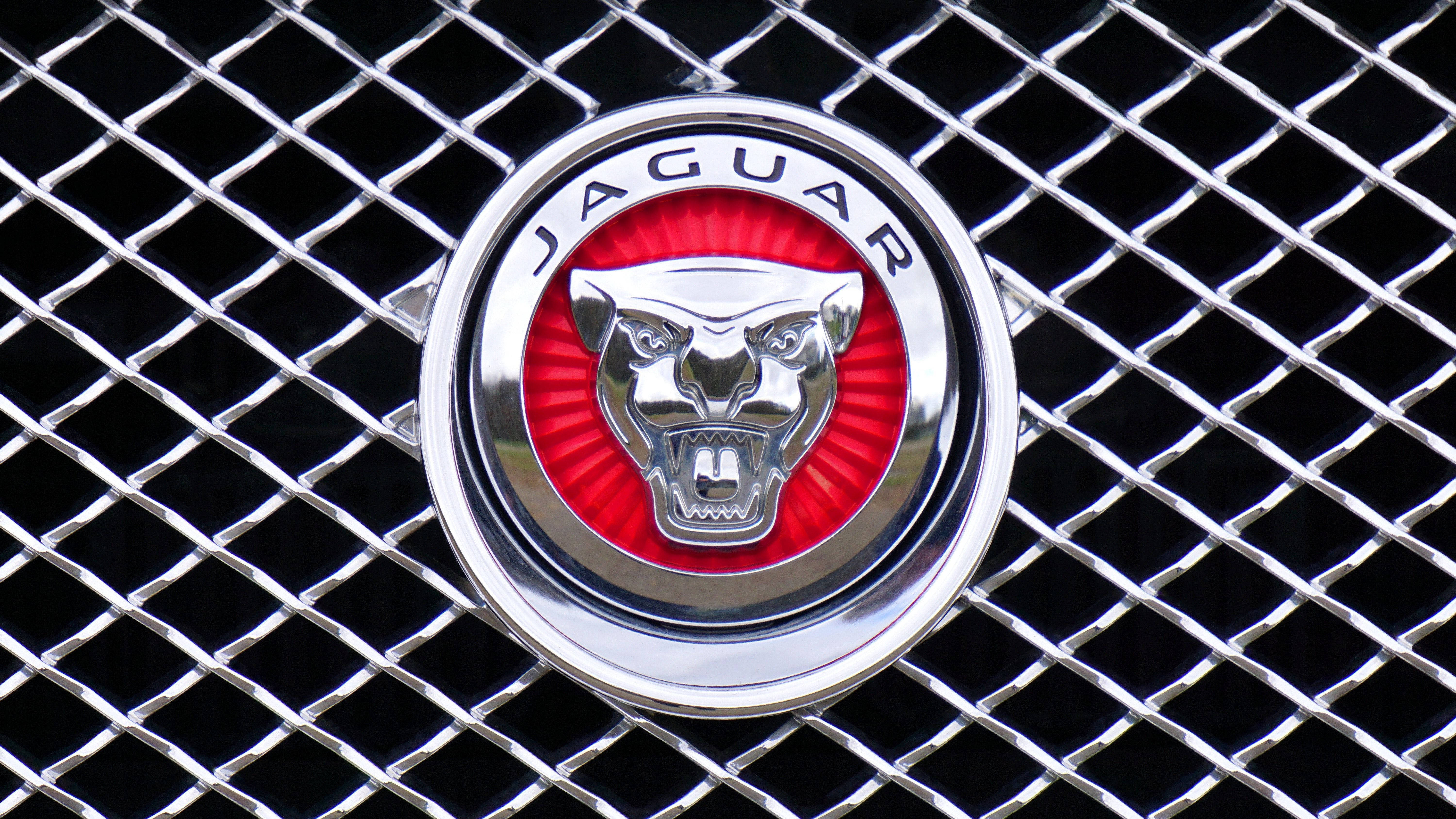 Jaguar car, head symbol logo, roaring silver panther, 5K Desktop Wallpaper