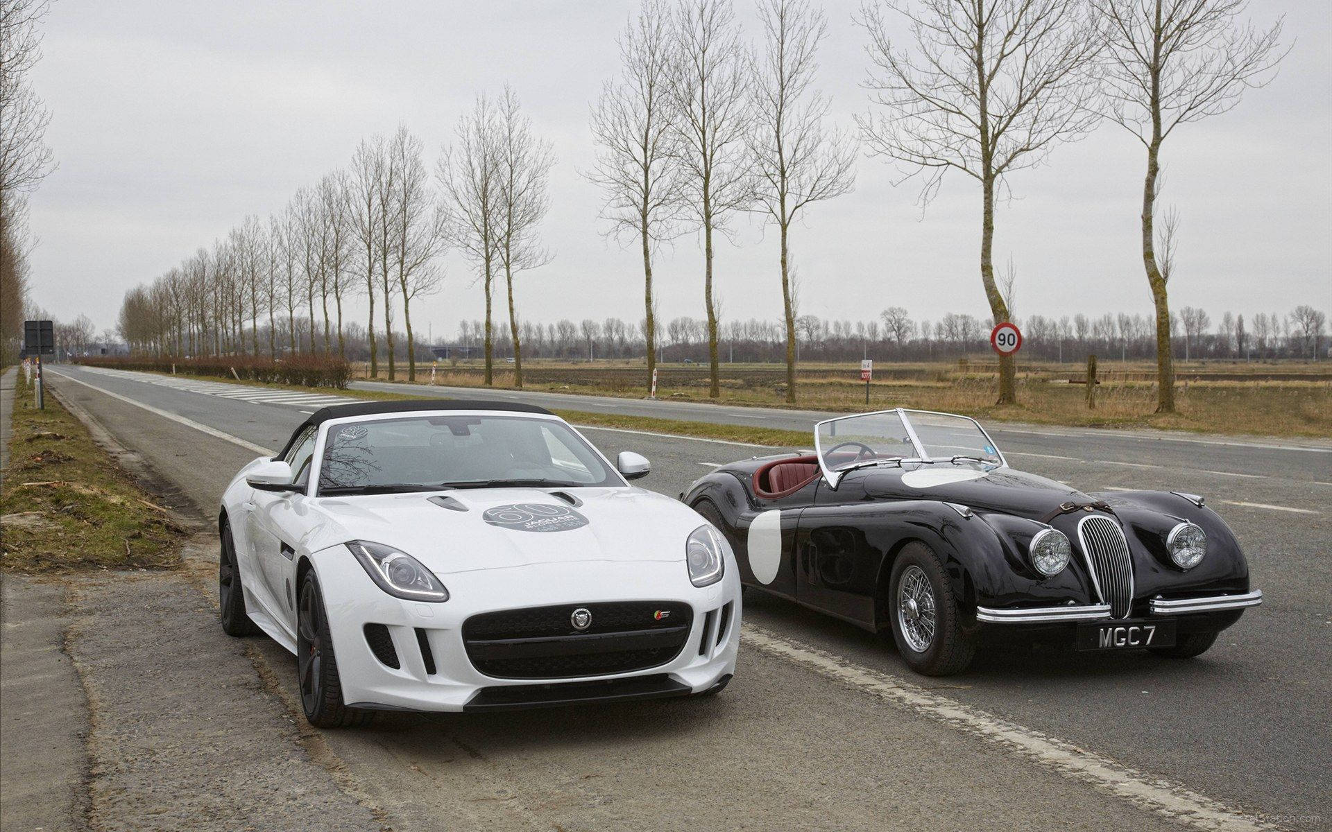 Jaguar, modern white convertible, vintage black roadster, Full HD Desktop Wallpaper
