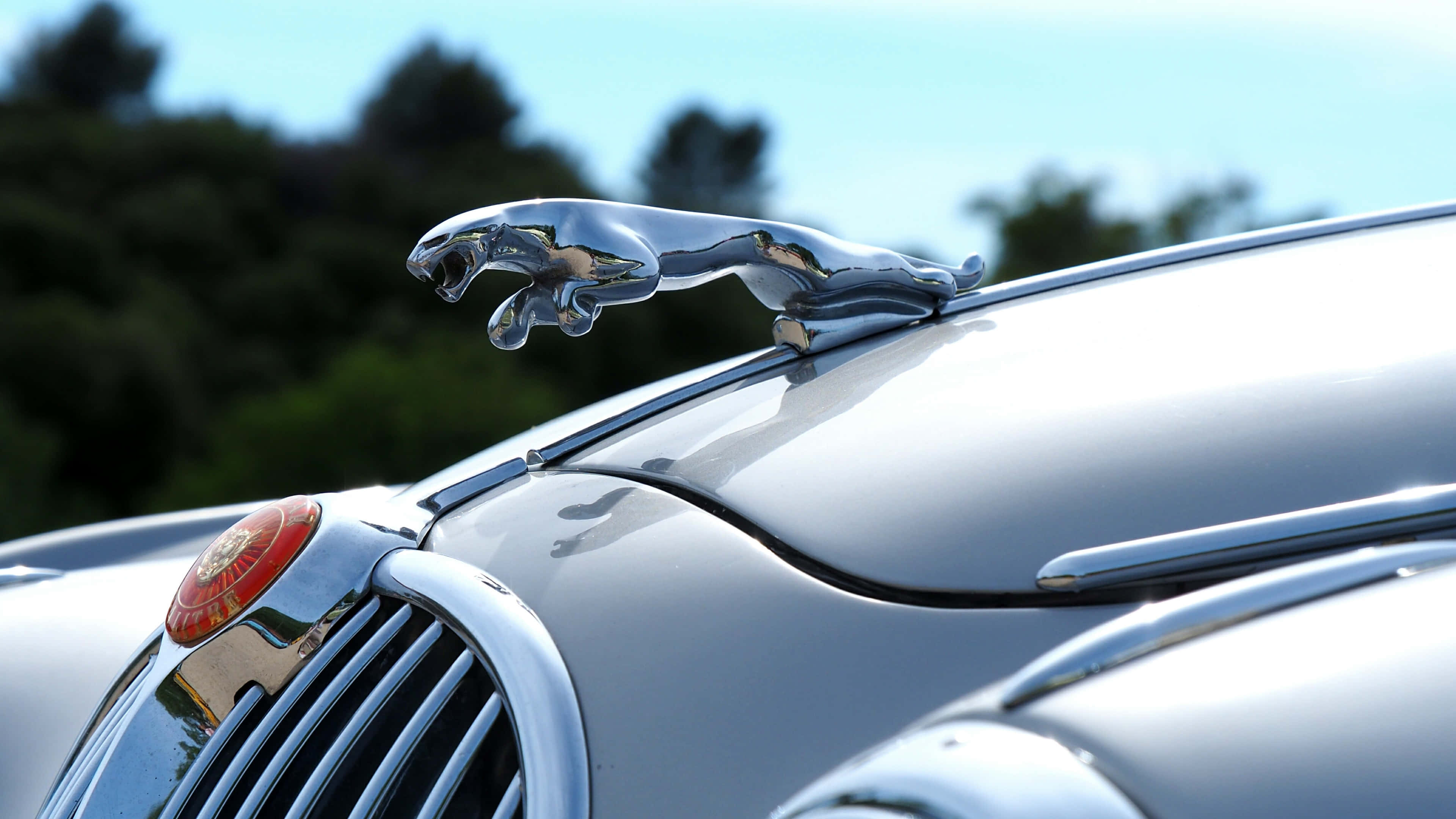 Jaguar, hood ornament, grille, 4K Desktop Wallpaper