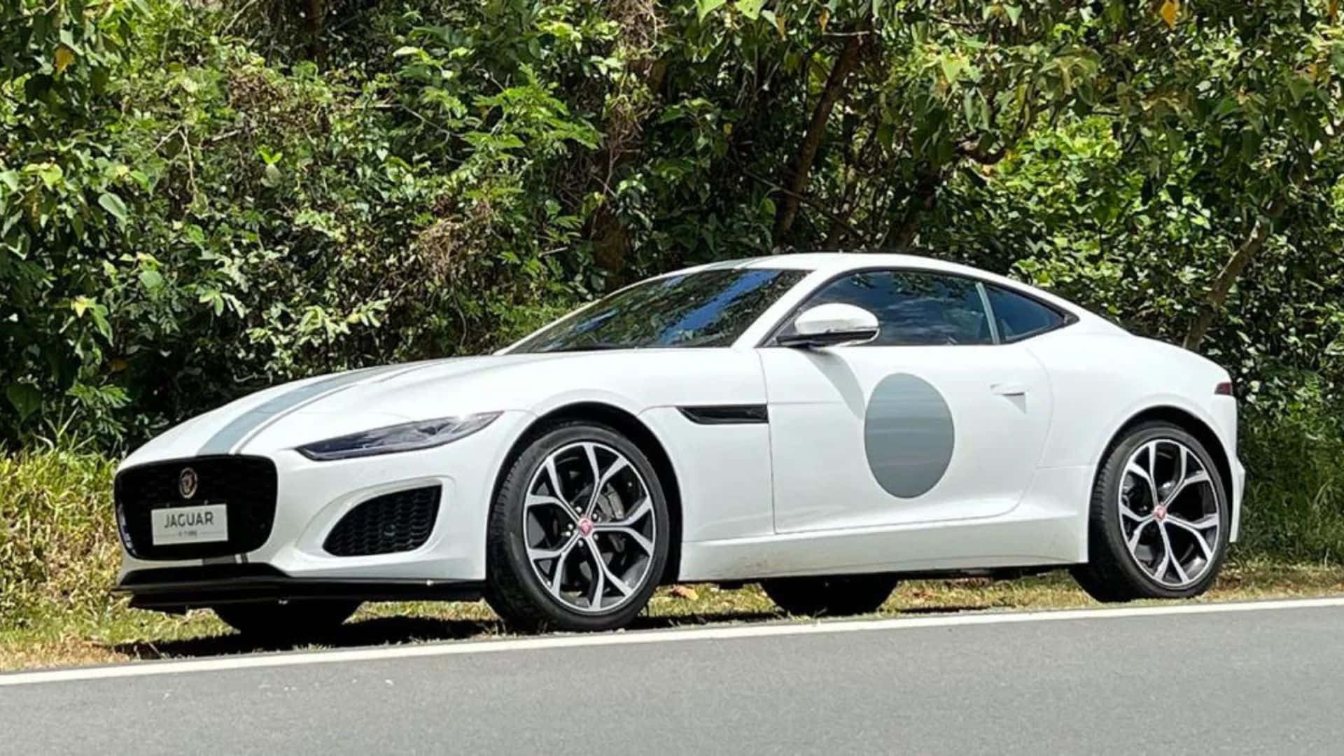 Jaguar F-Type, white, gray racing stripes, Full HD Desktop Wallpaper