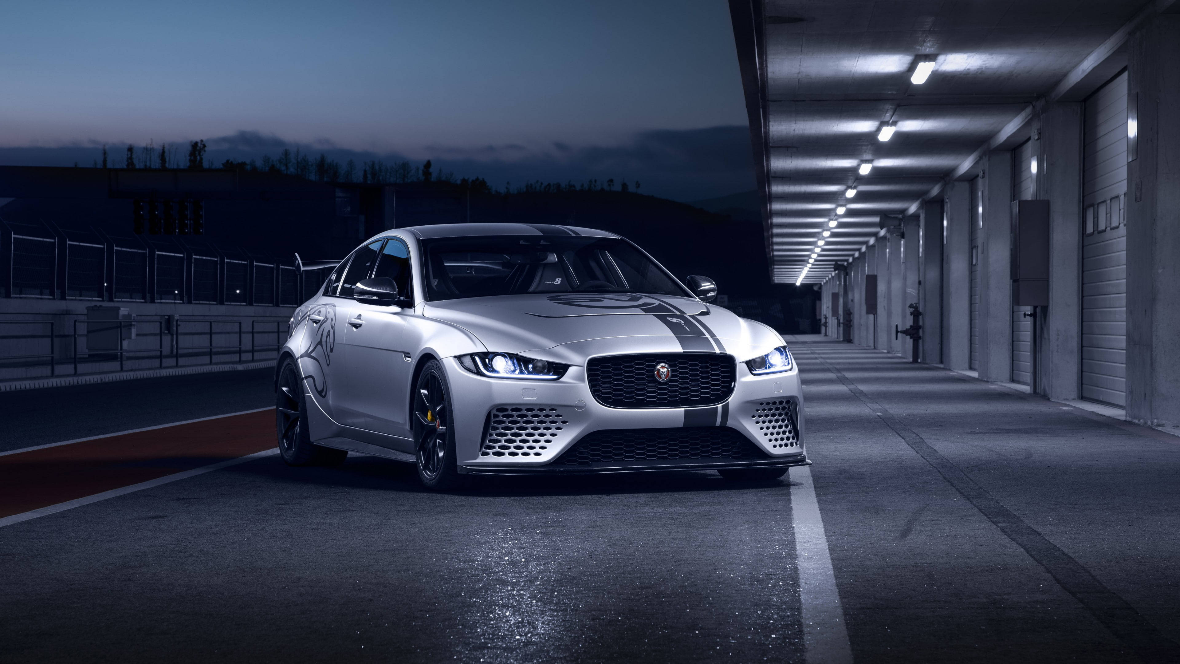 Jaguar, silver, black stripes, 4K Desktop Wallpaper